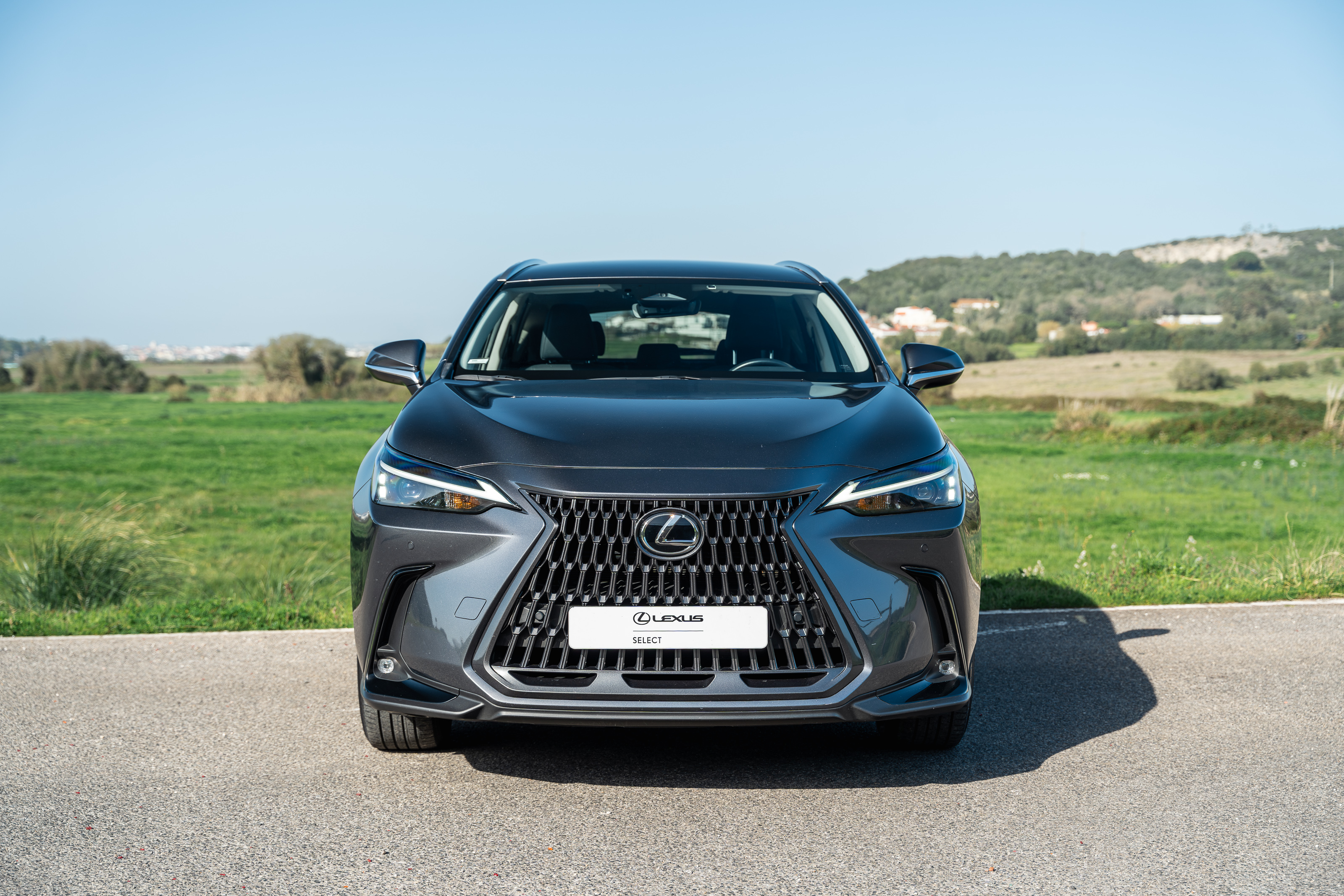 LEXUS NX350H NX 350h Executive Plus