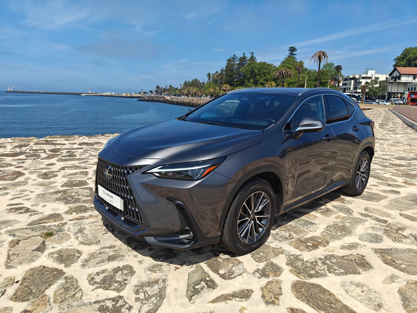 LEXUS NX350H NX 350h Executive Plus