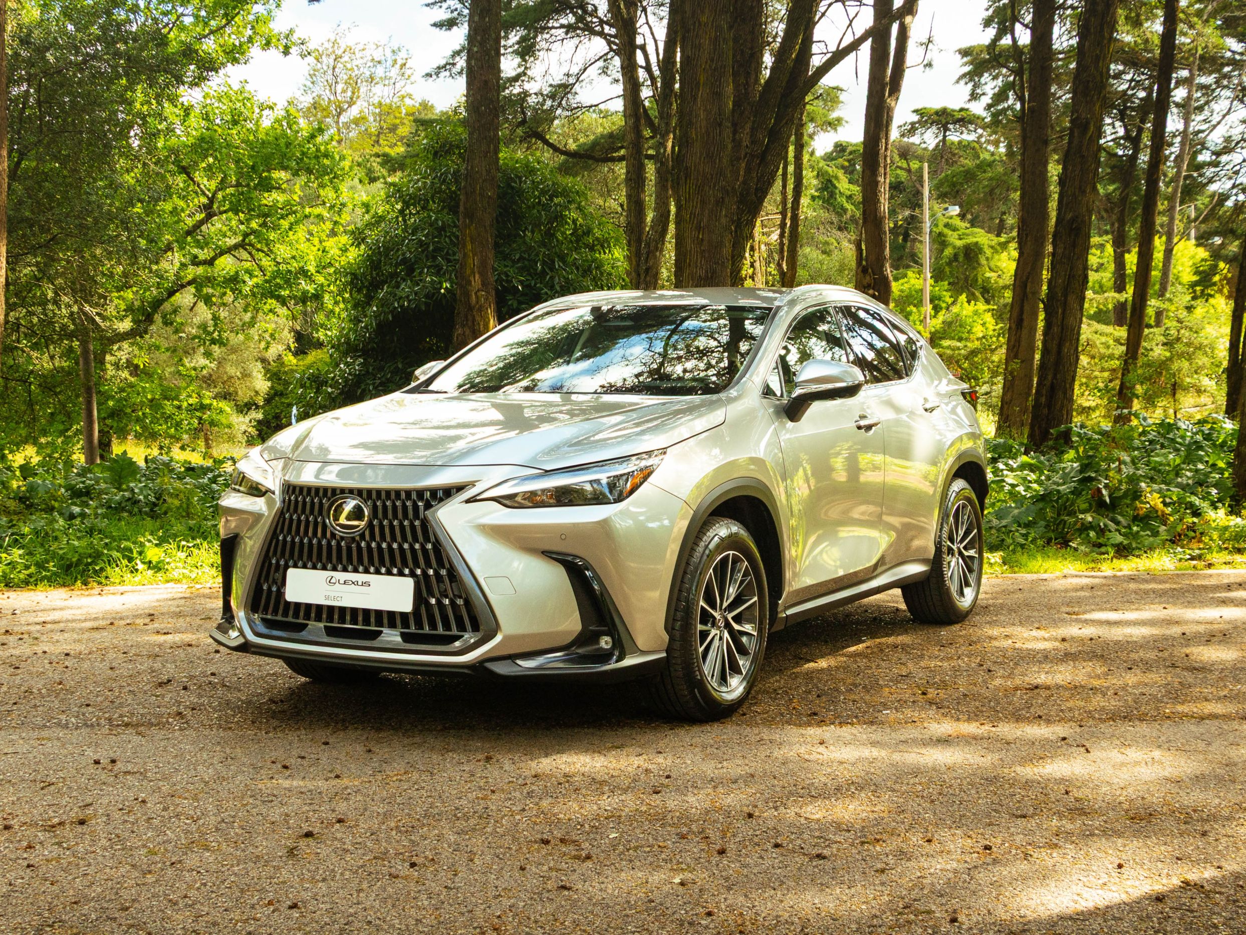 LEXUS NX350H NX 350h Executive Plus