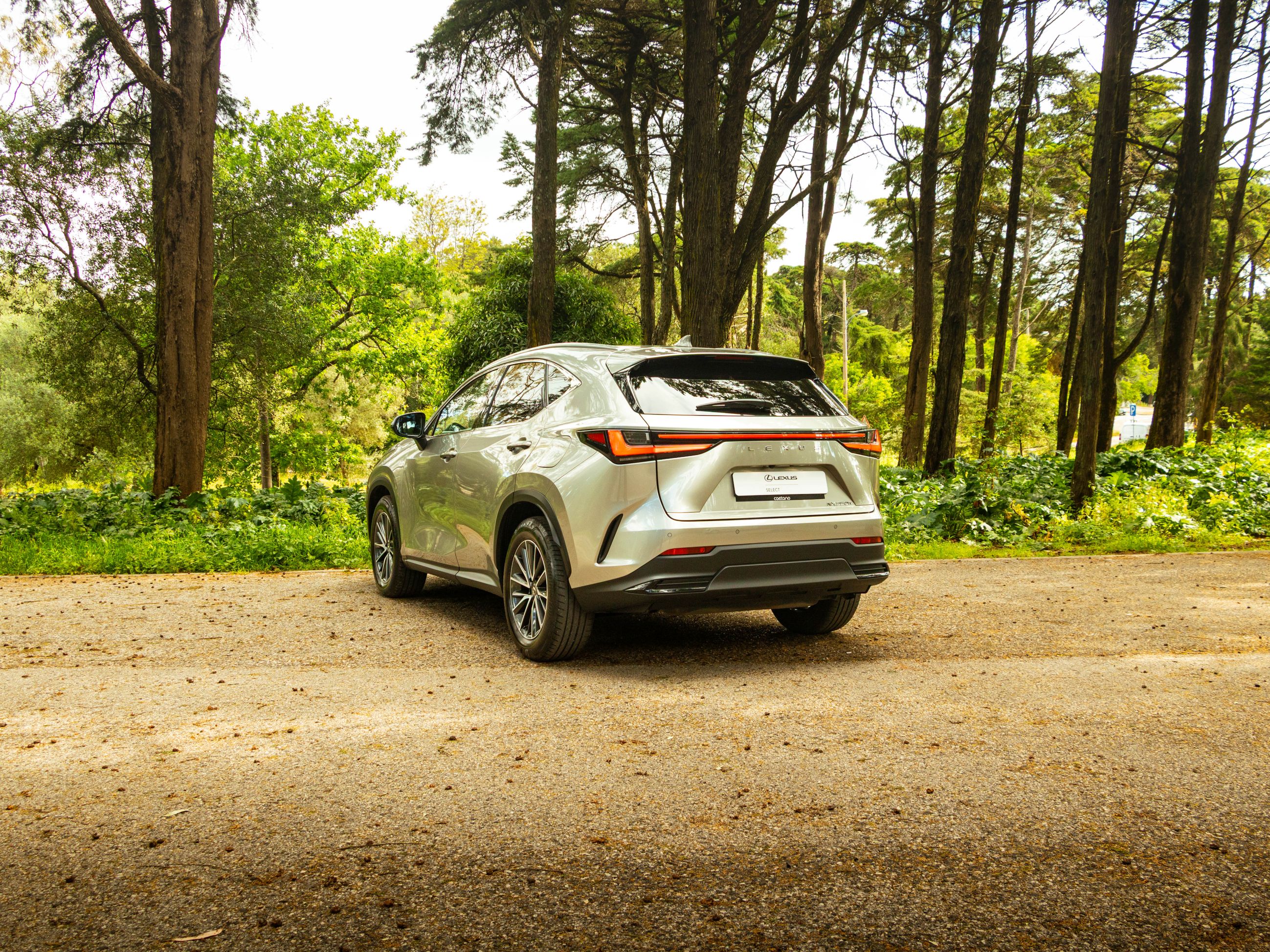 LEXUS NX350H NX 350h Executive Plus