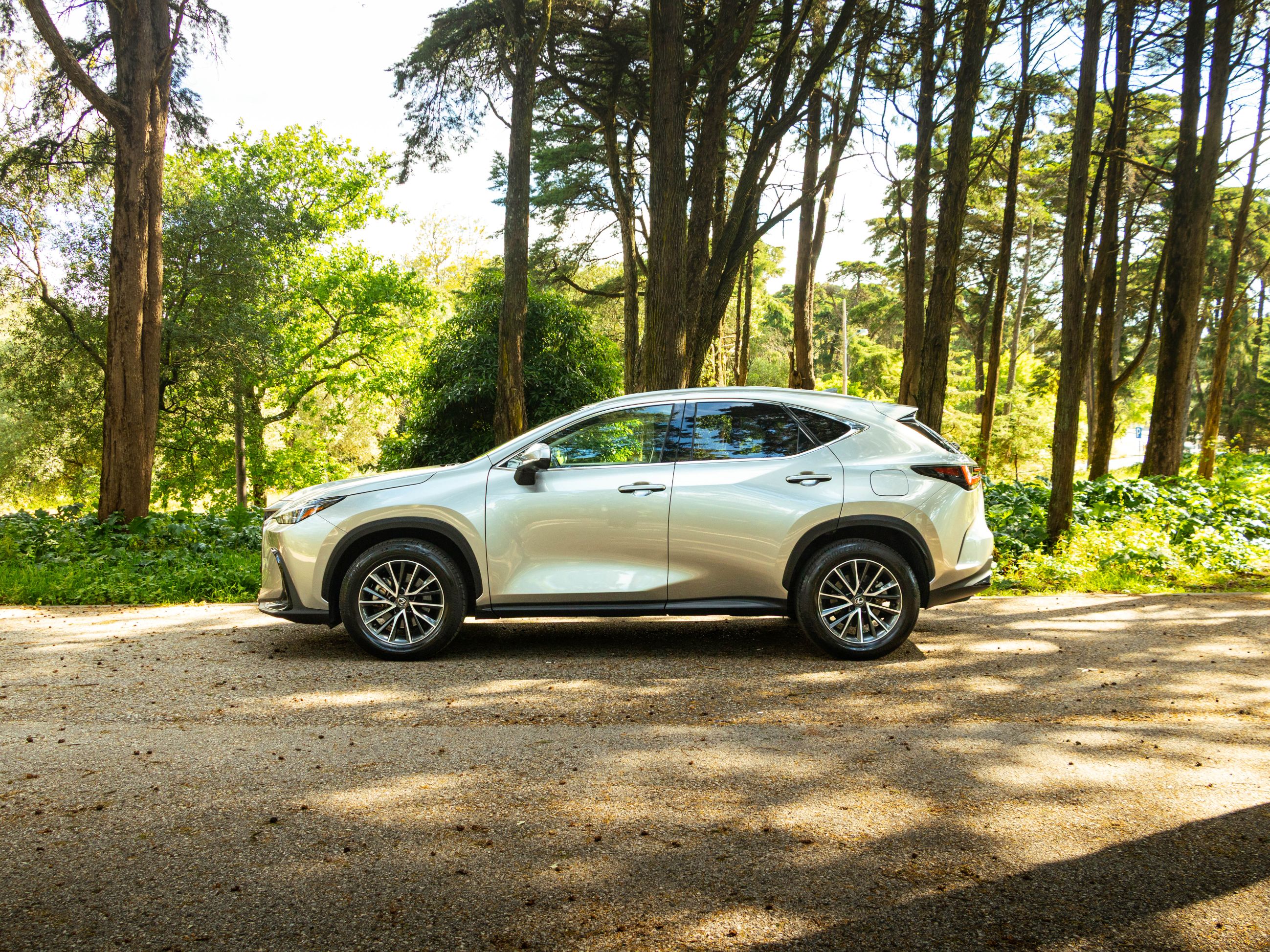 LEXUS NX350H NX 350h Executive Plus
