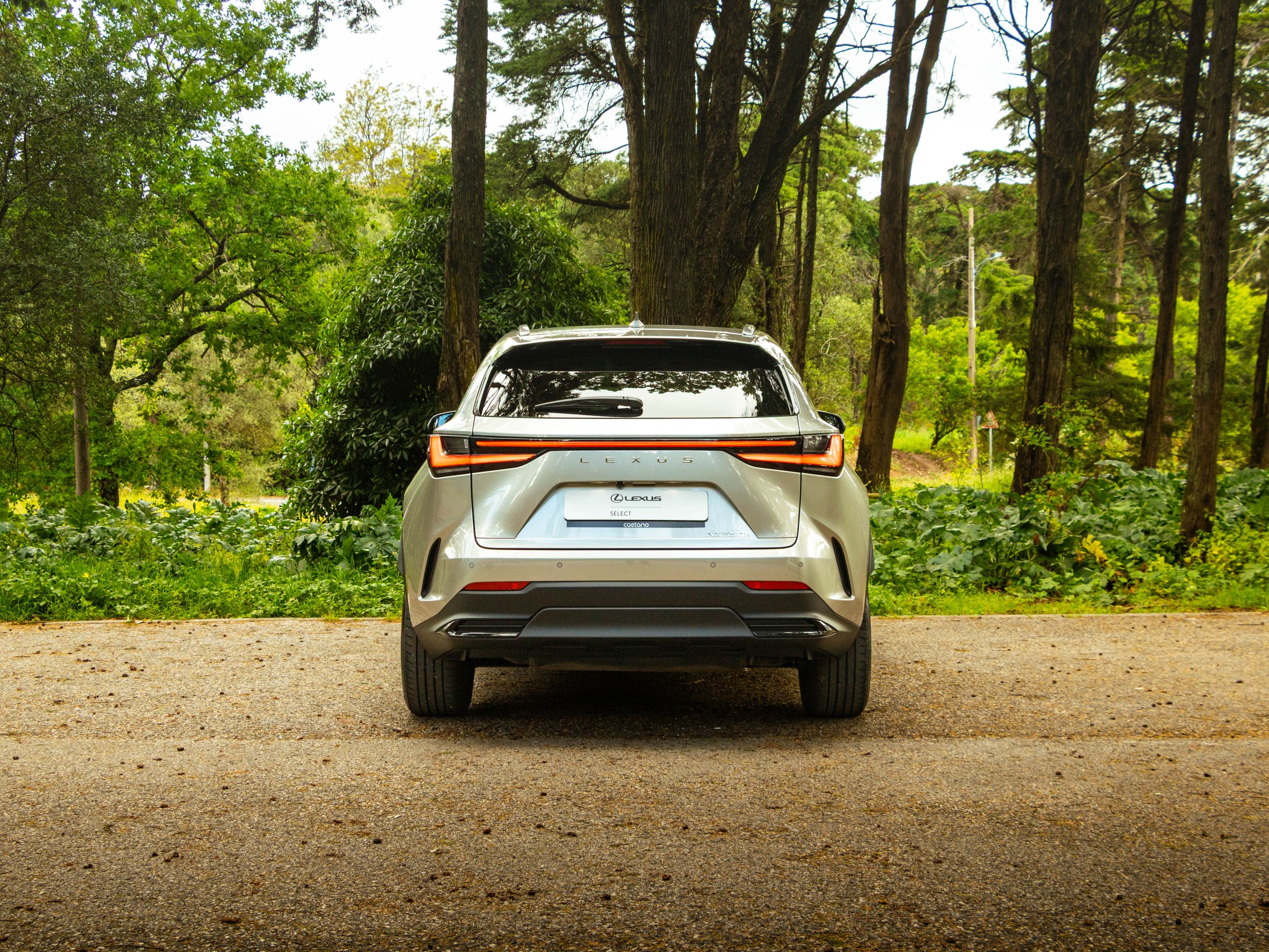 LEXUS NX350H NX 350h Executive Plus