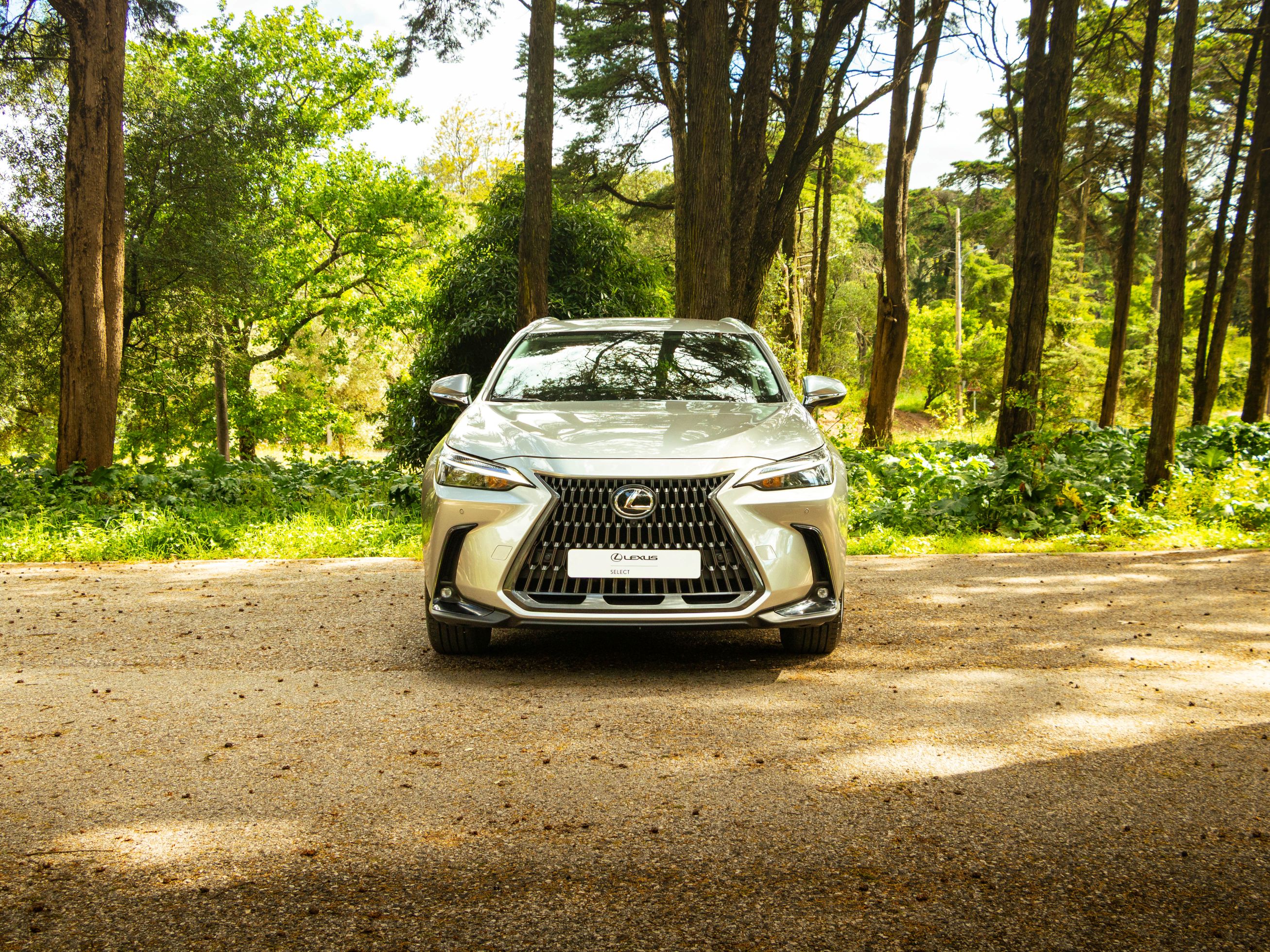 LEXUS NX350H NX 350h Executive Plus