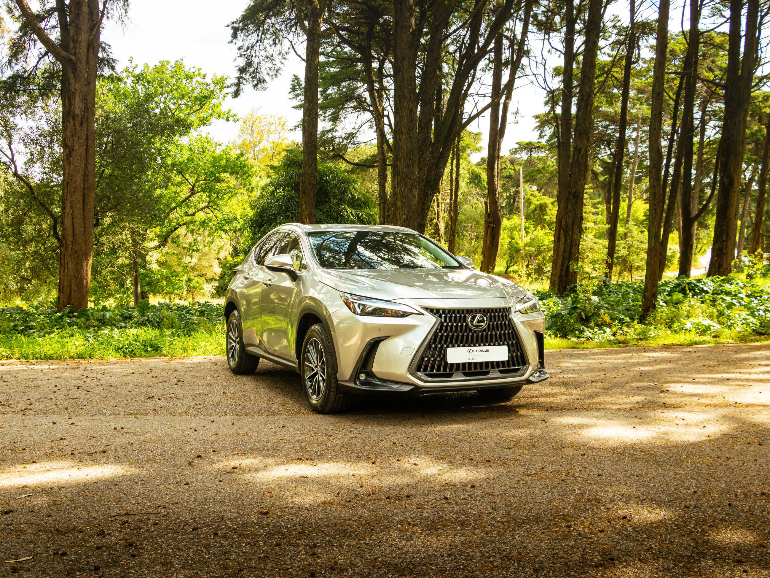 LEXUS NX350H NX 350h Executive Plus