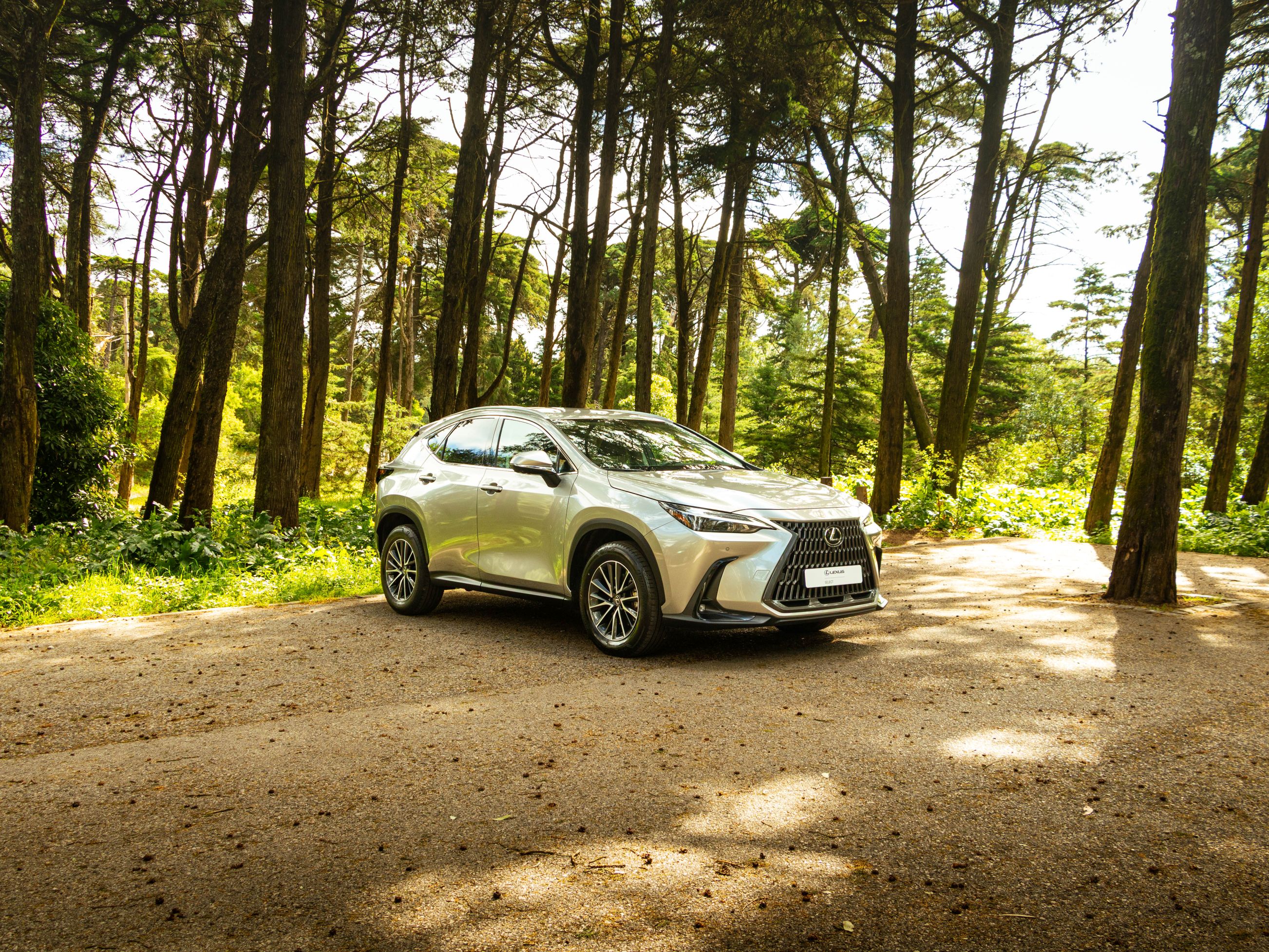 LEXUS NX350H NX 350h Executive Plus