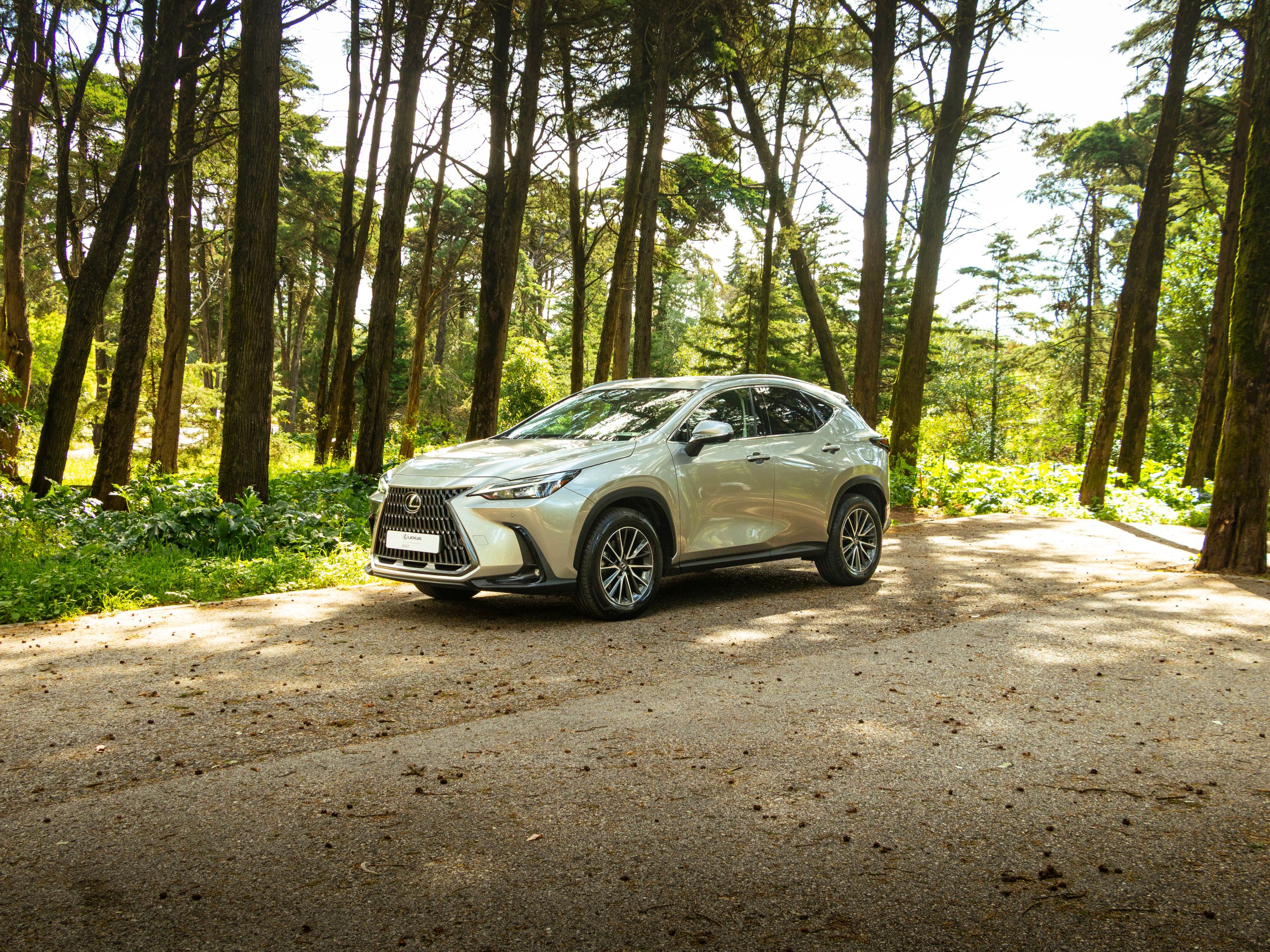 LEXUS NX350H NX 350h Executive Plus