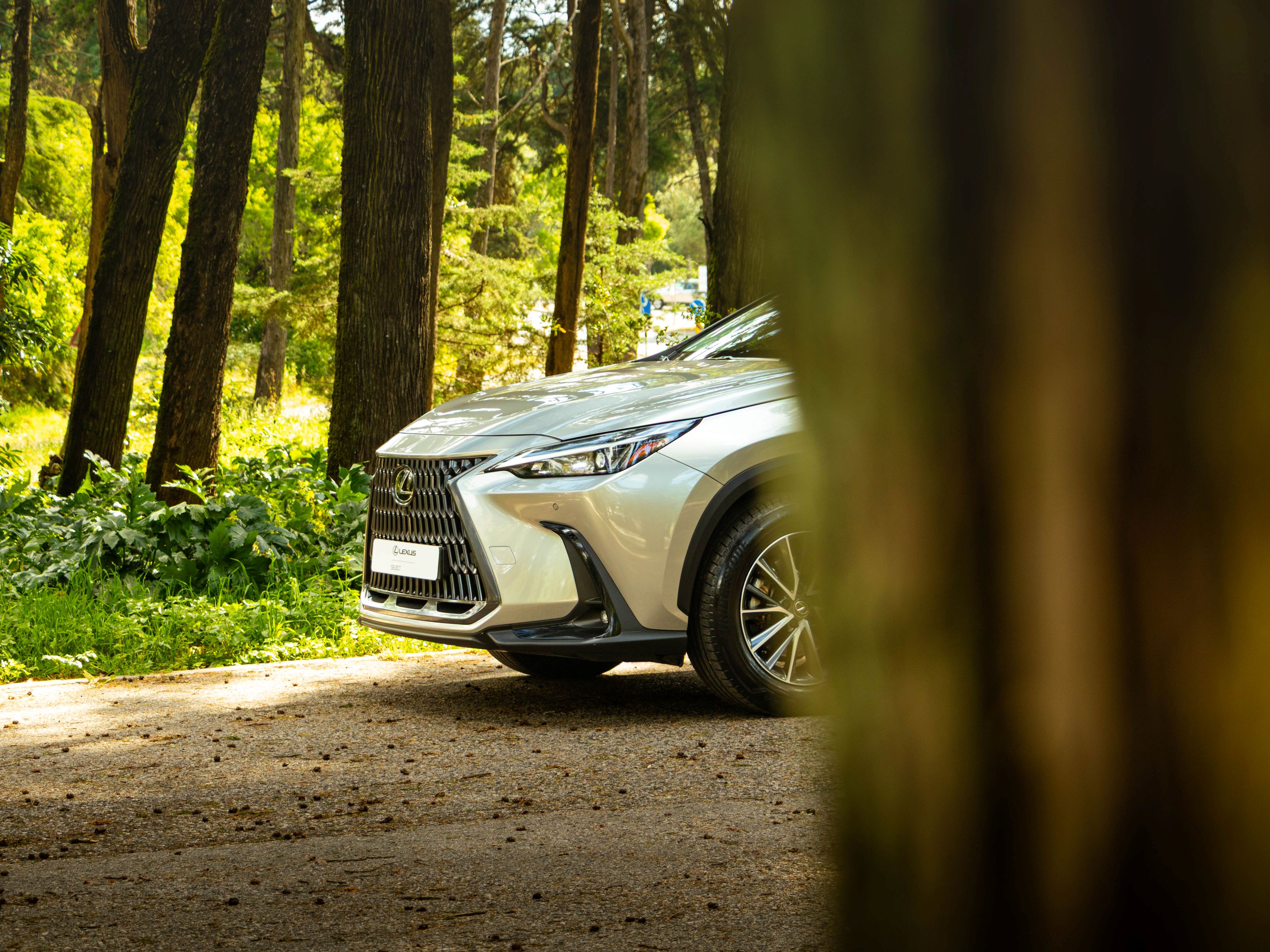 LEXUS NX350H NX 350h Executive Plus