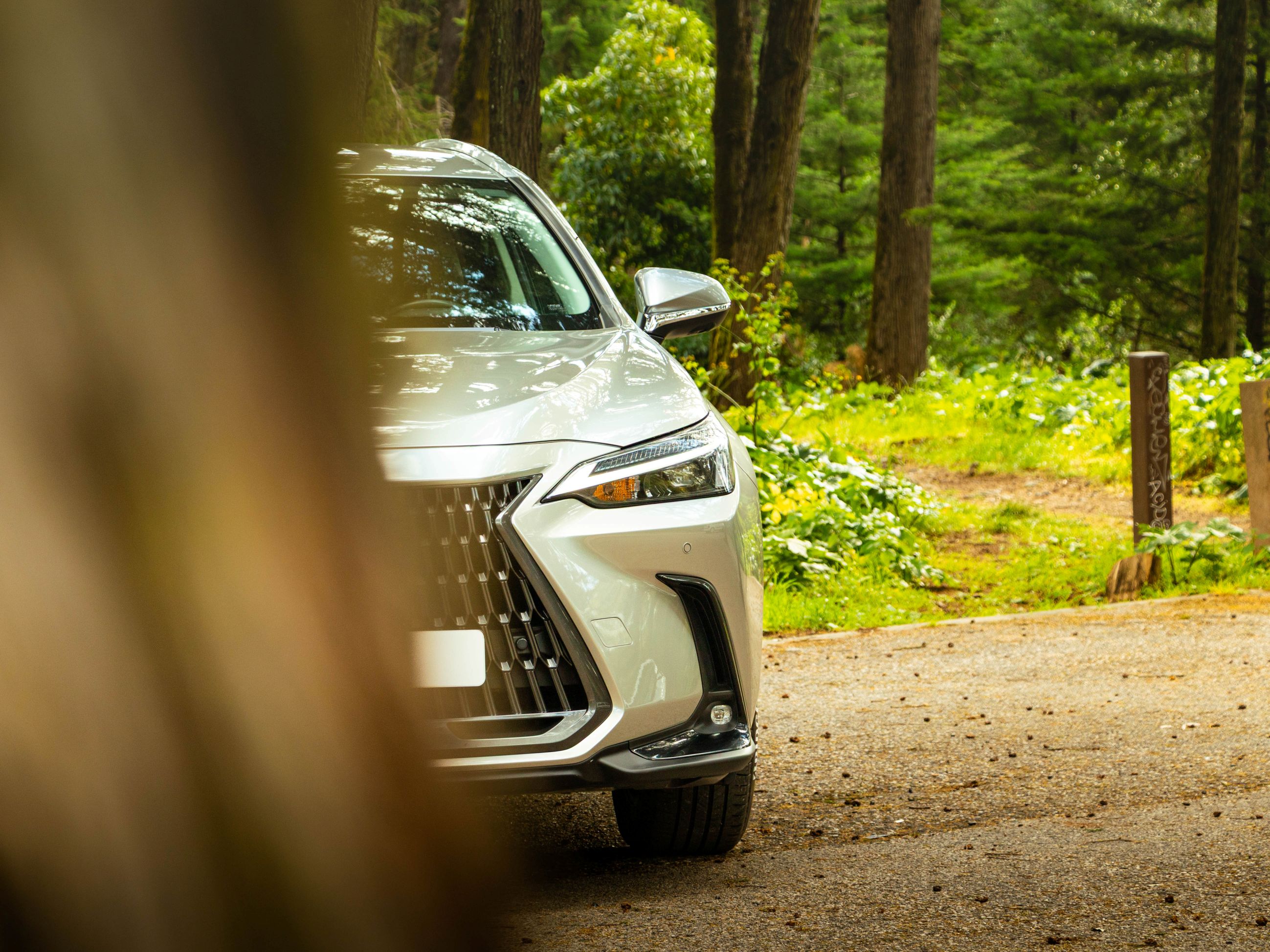 LEXUS NX350H NX 350h Executive Plus