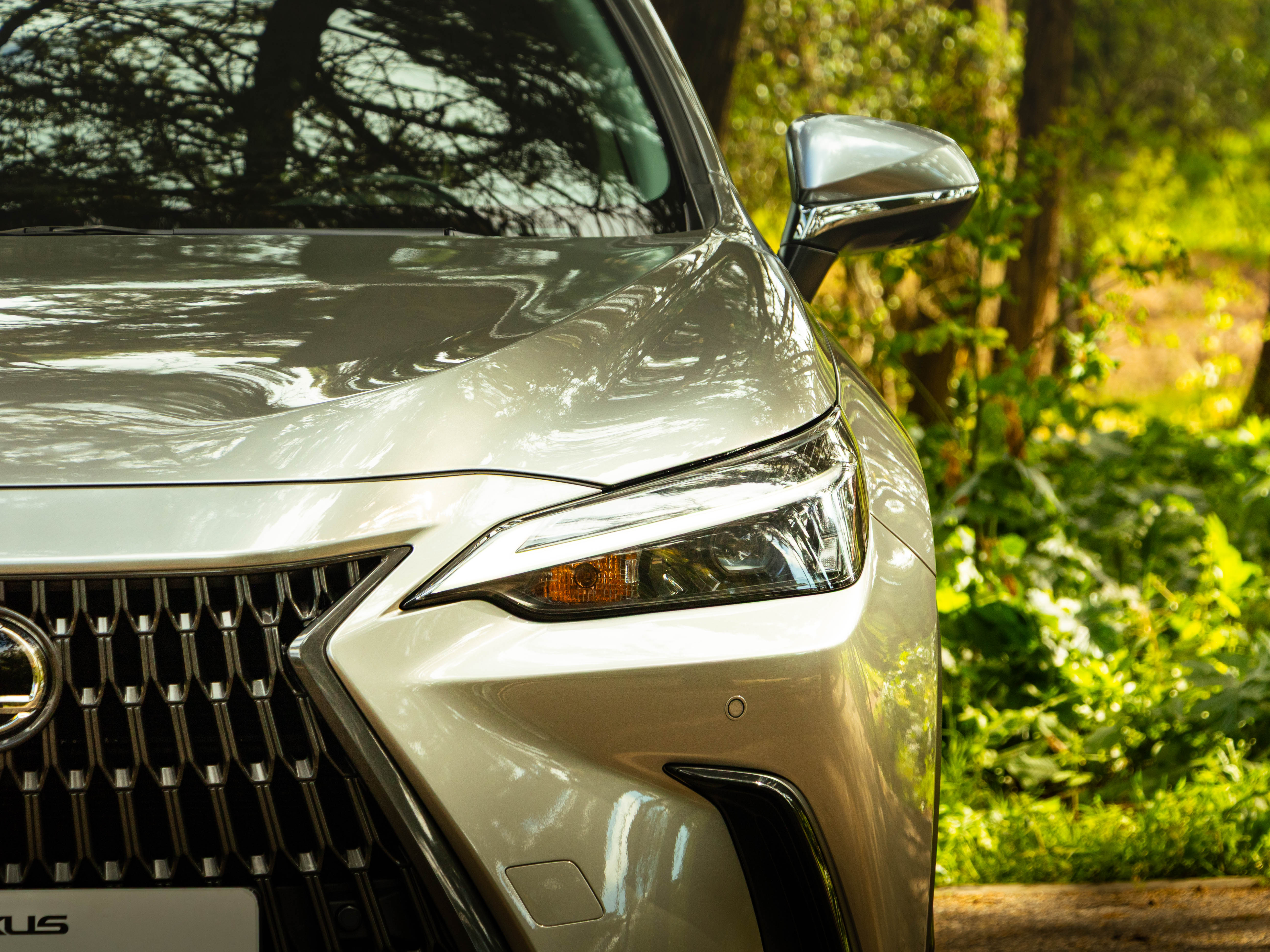 LEXUS NX350H NX 350h Executive Plus