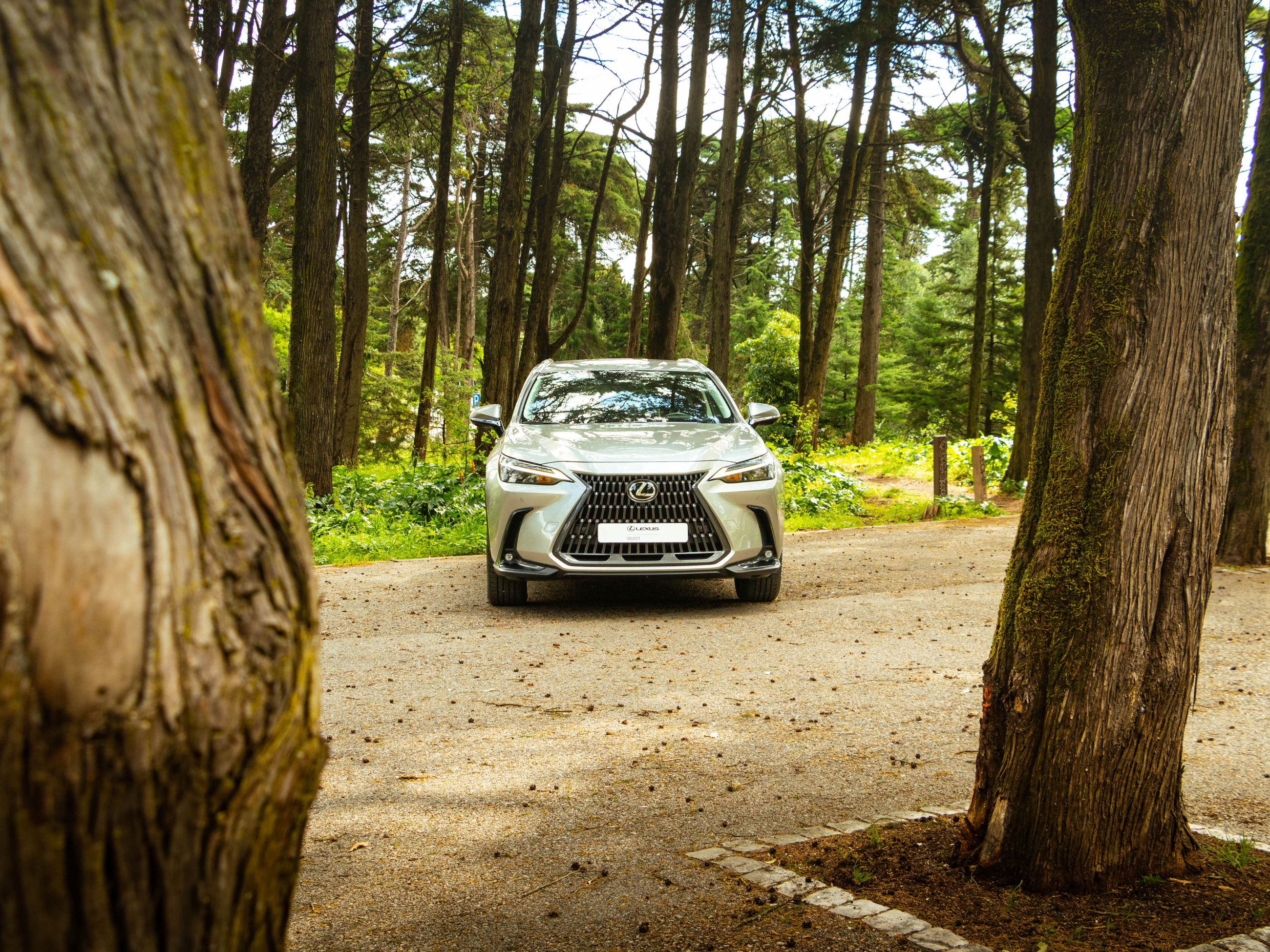 LEXUS NX350H NX 350h Executive Plus