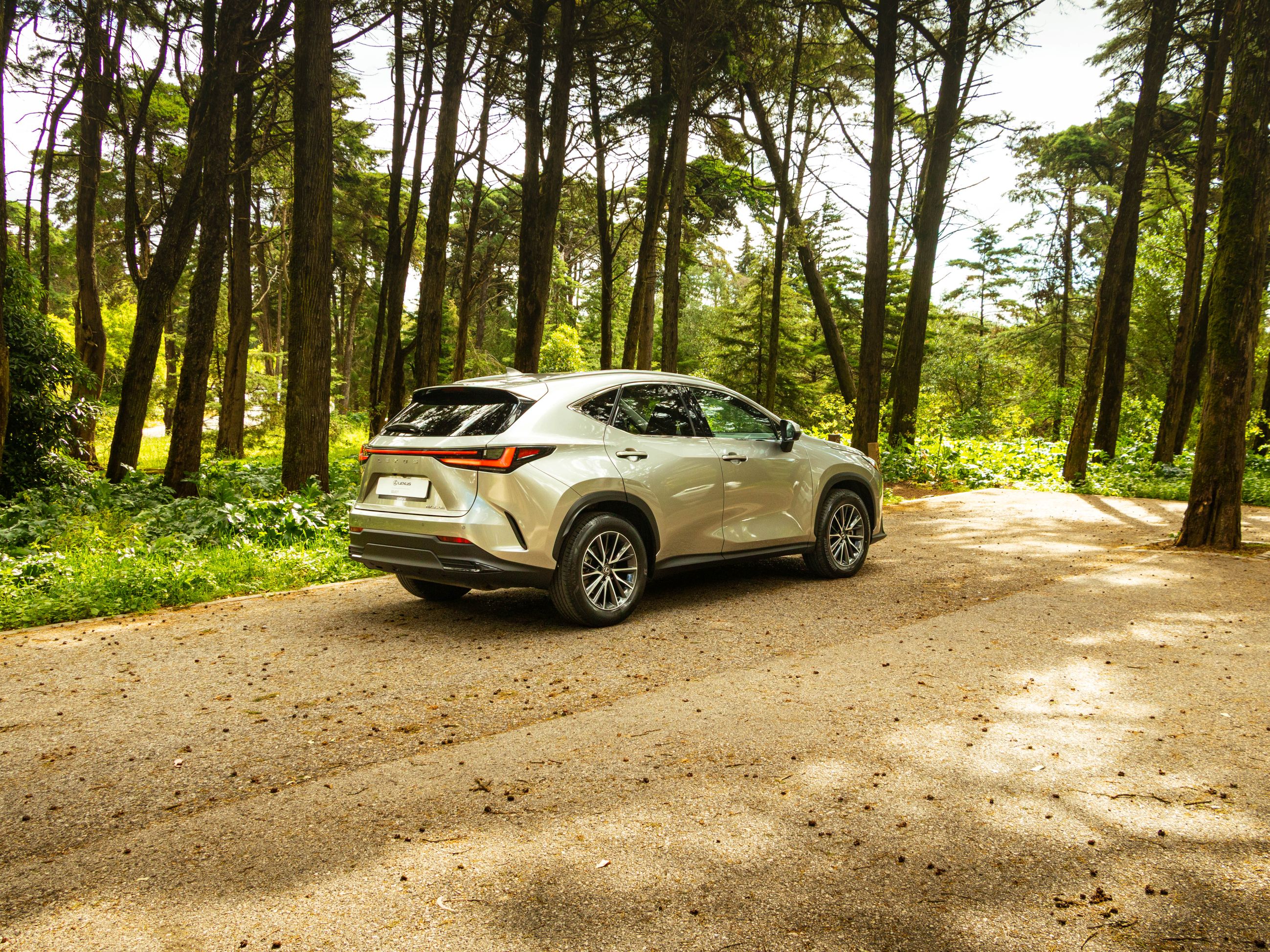 LEXUS NX350H NX 350h Executive Plus