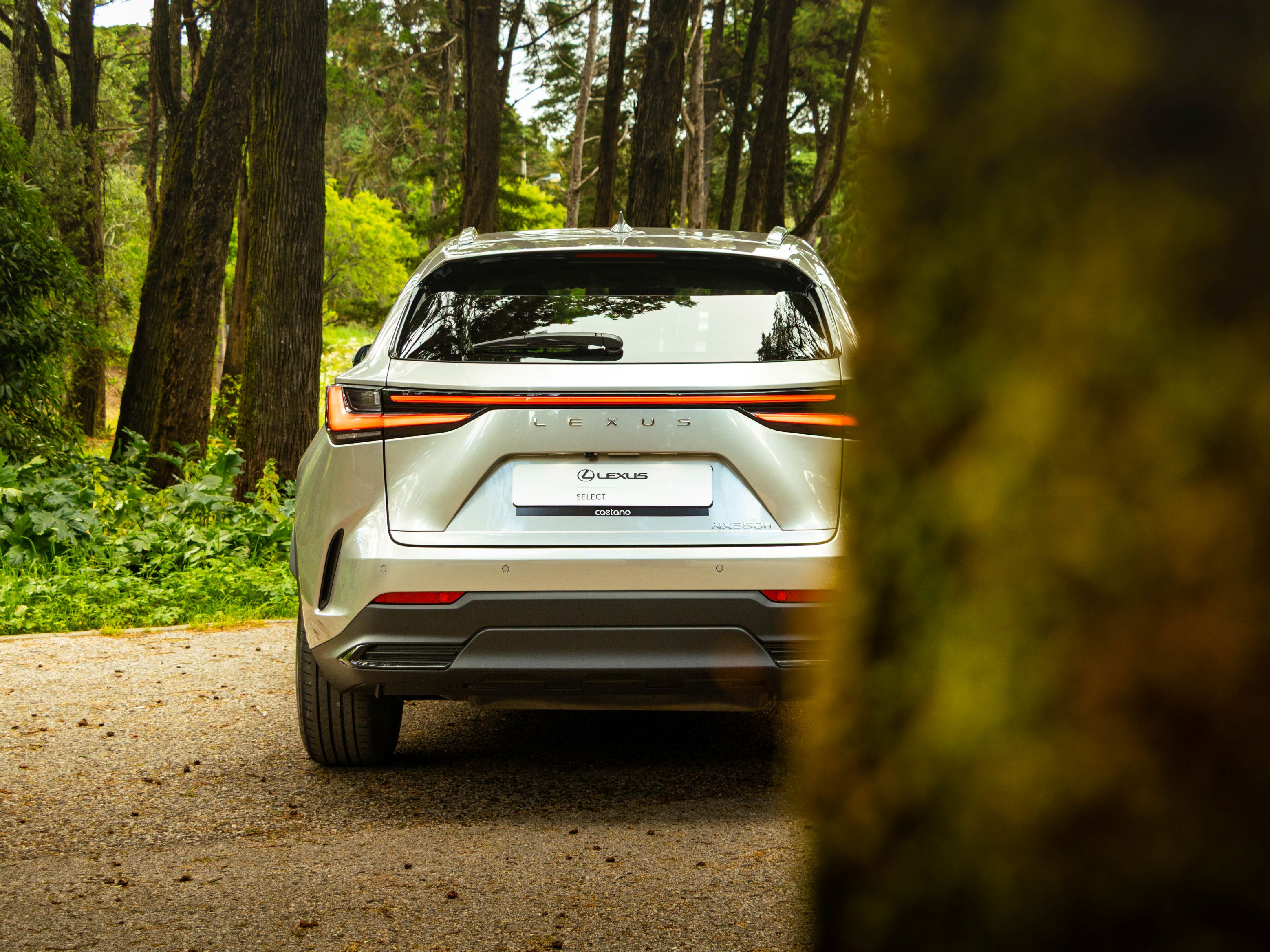 LEXUS NX350H NX 350h Executive Plus