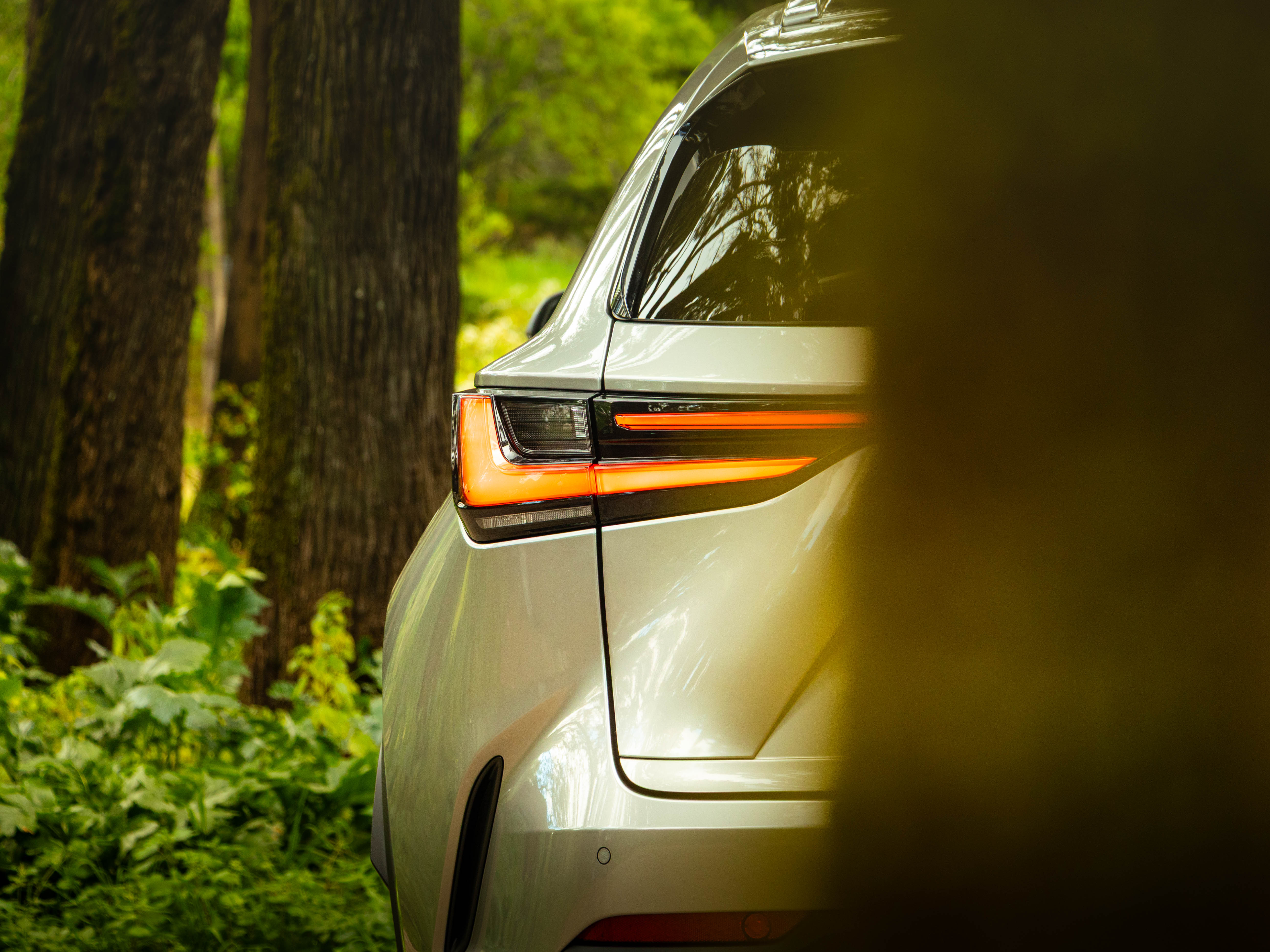 LEXUS NX350H NX 350h Executive Plus