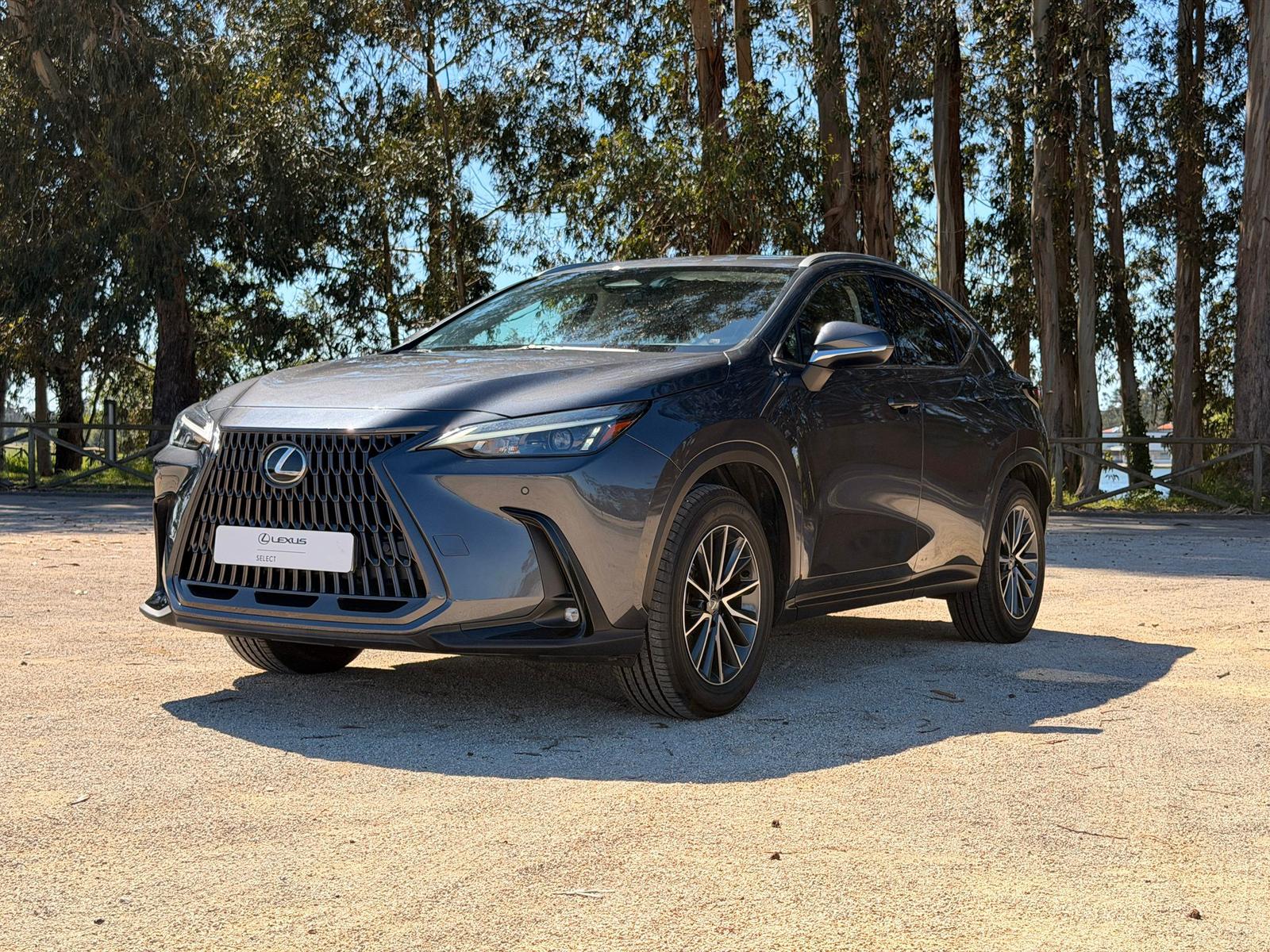 LEXUS NX 300H NX 350h Executive