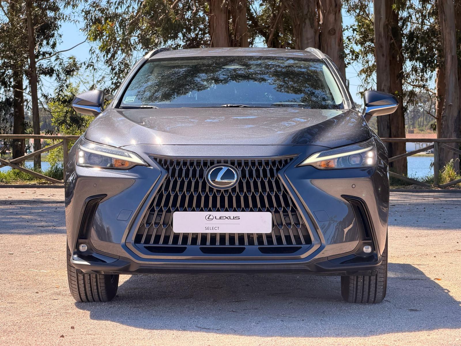 LEXUS NX 300H NX 350h Executive