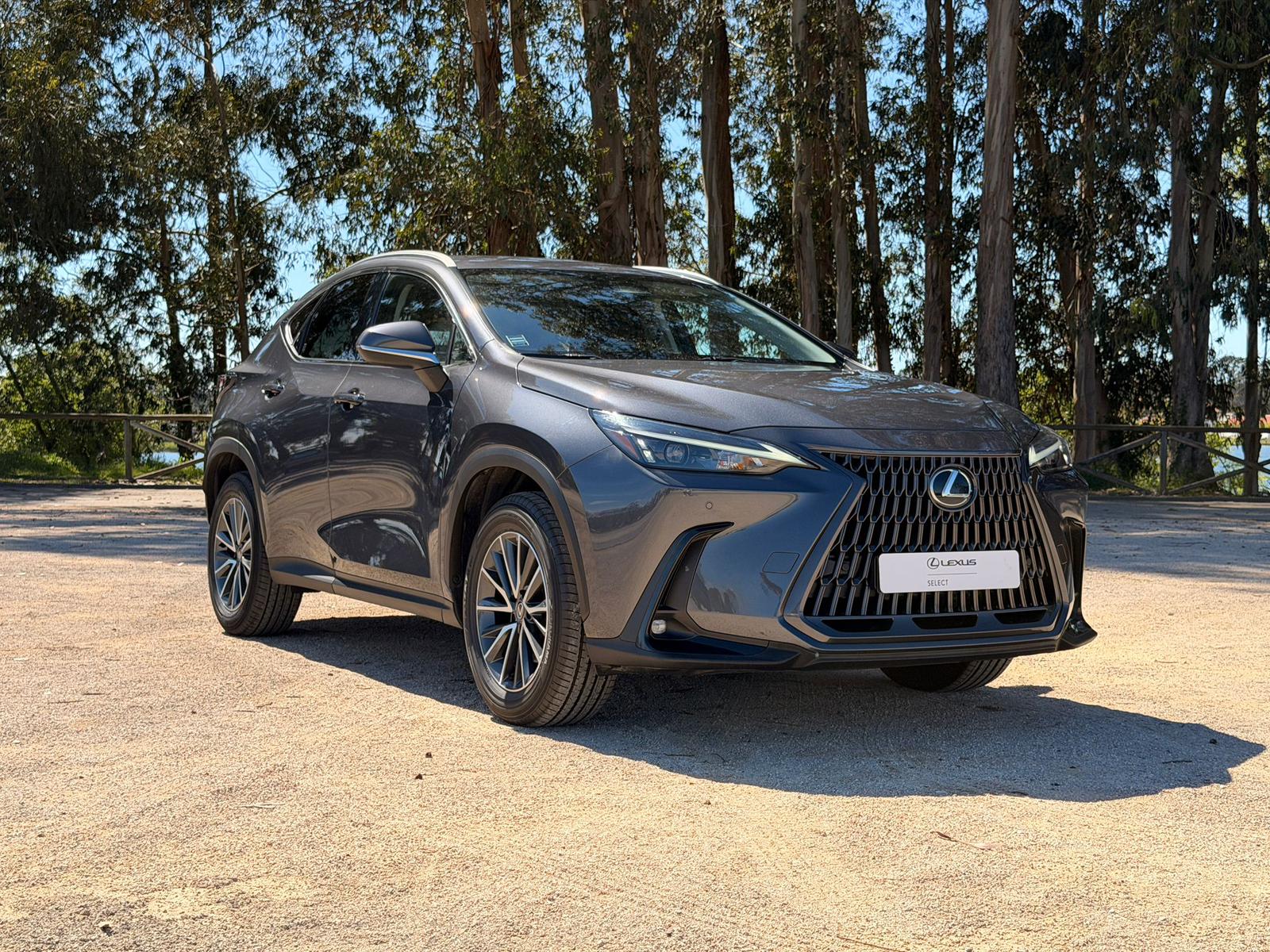 LEXUS NX 300H NX 350h Executive