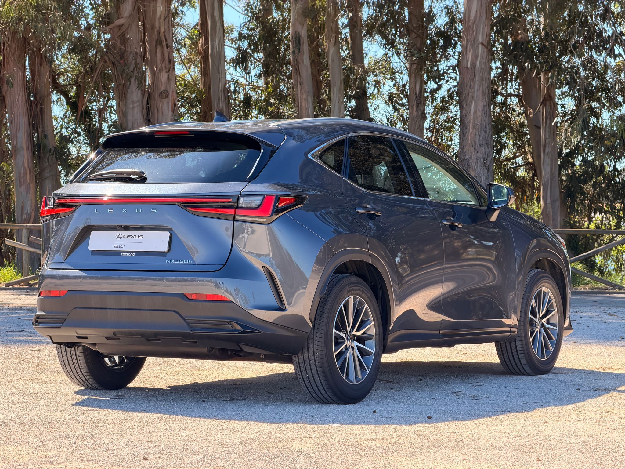 LEXUS NX 300H NX 350h Executive