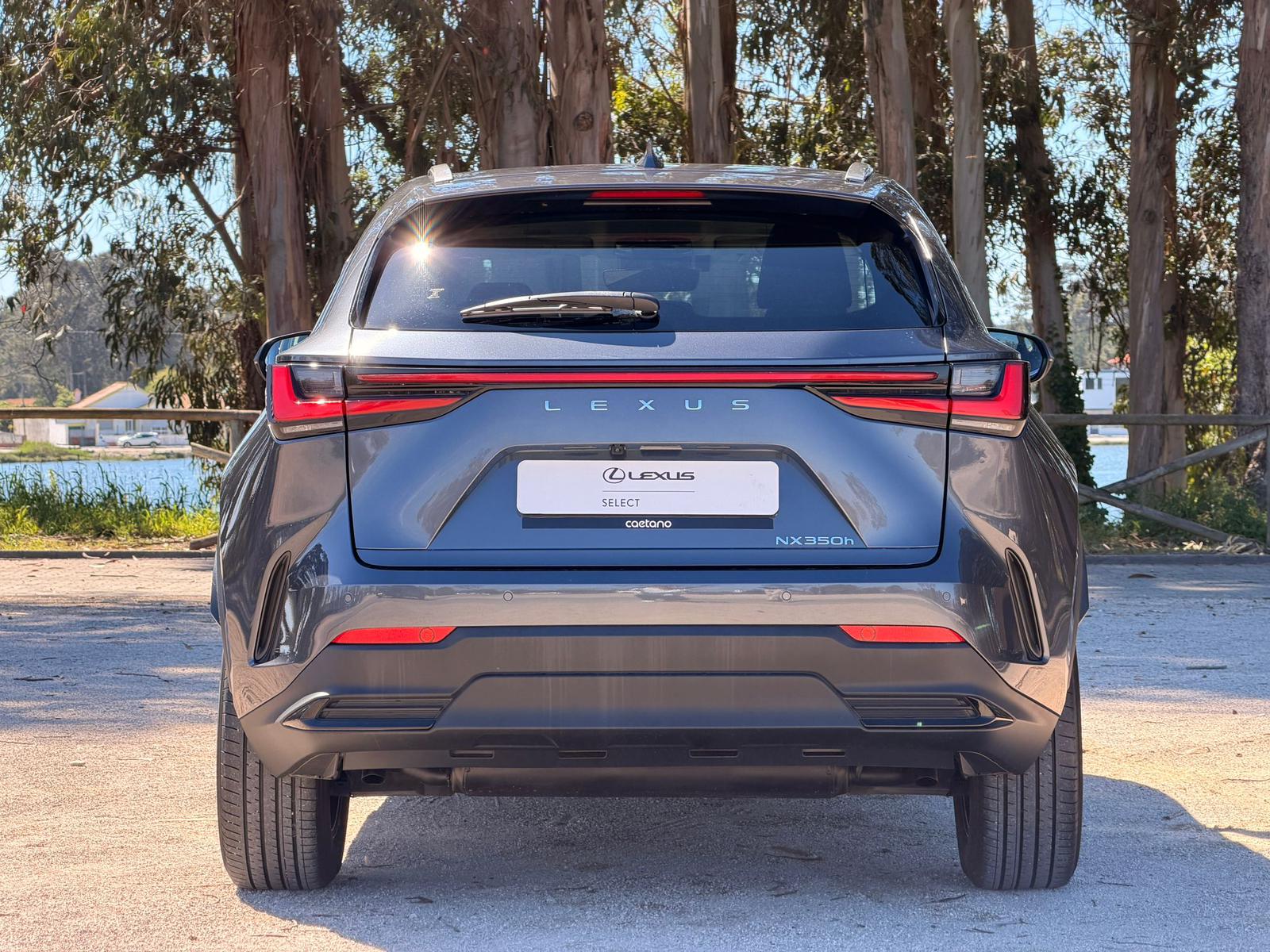LEXUS NX 300H NX 350h Executive