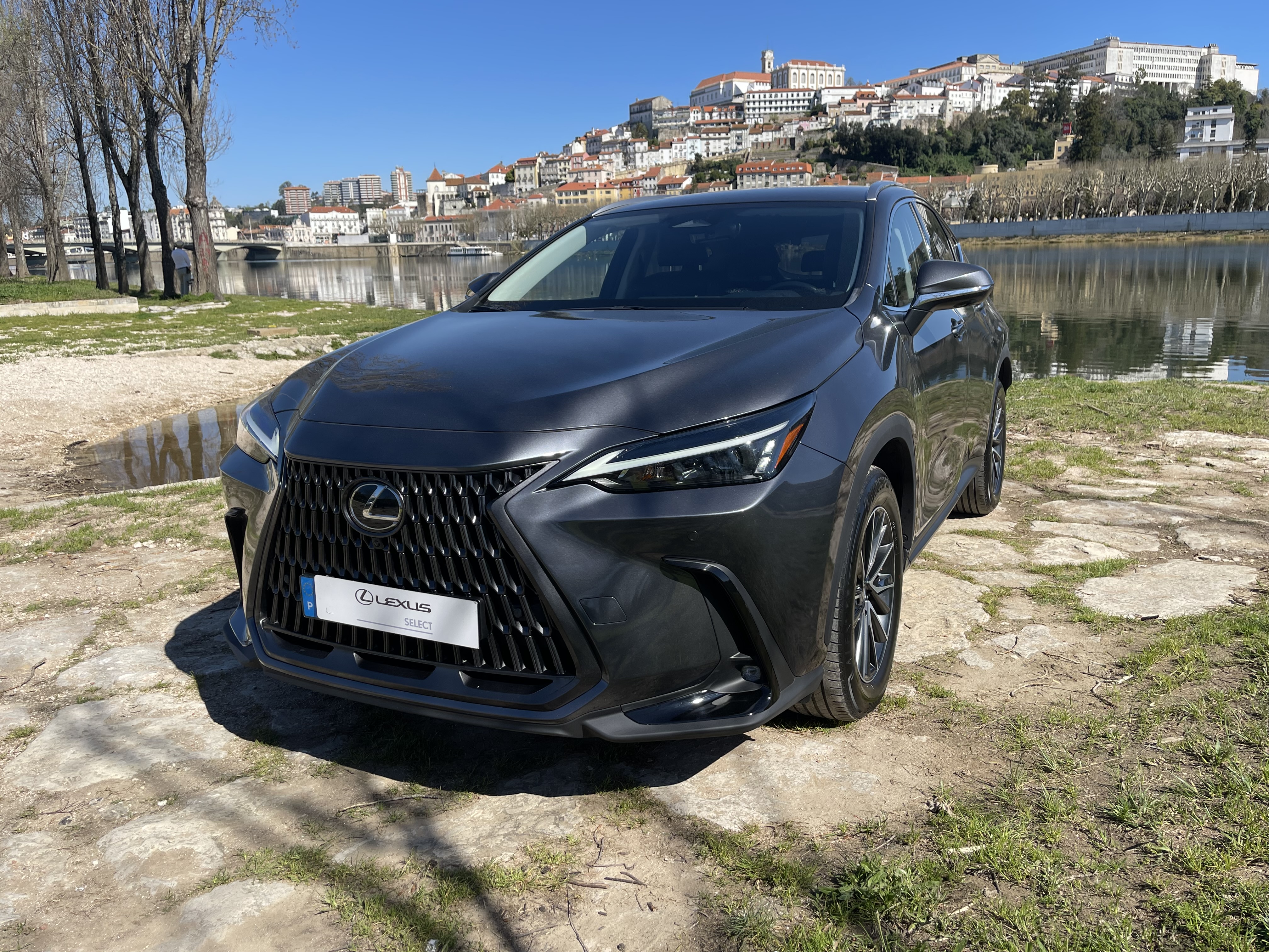 LEXUS NX350H NX 350h Executive Plus