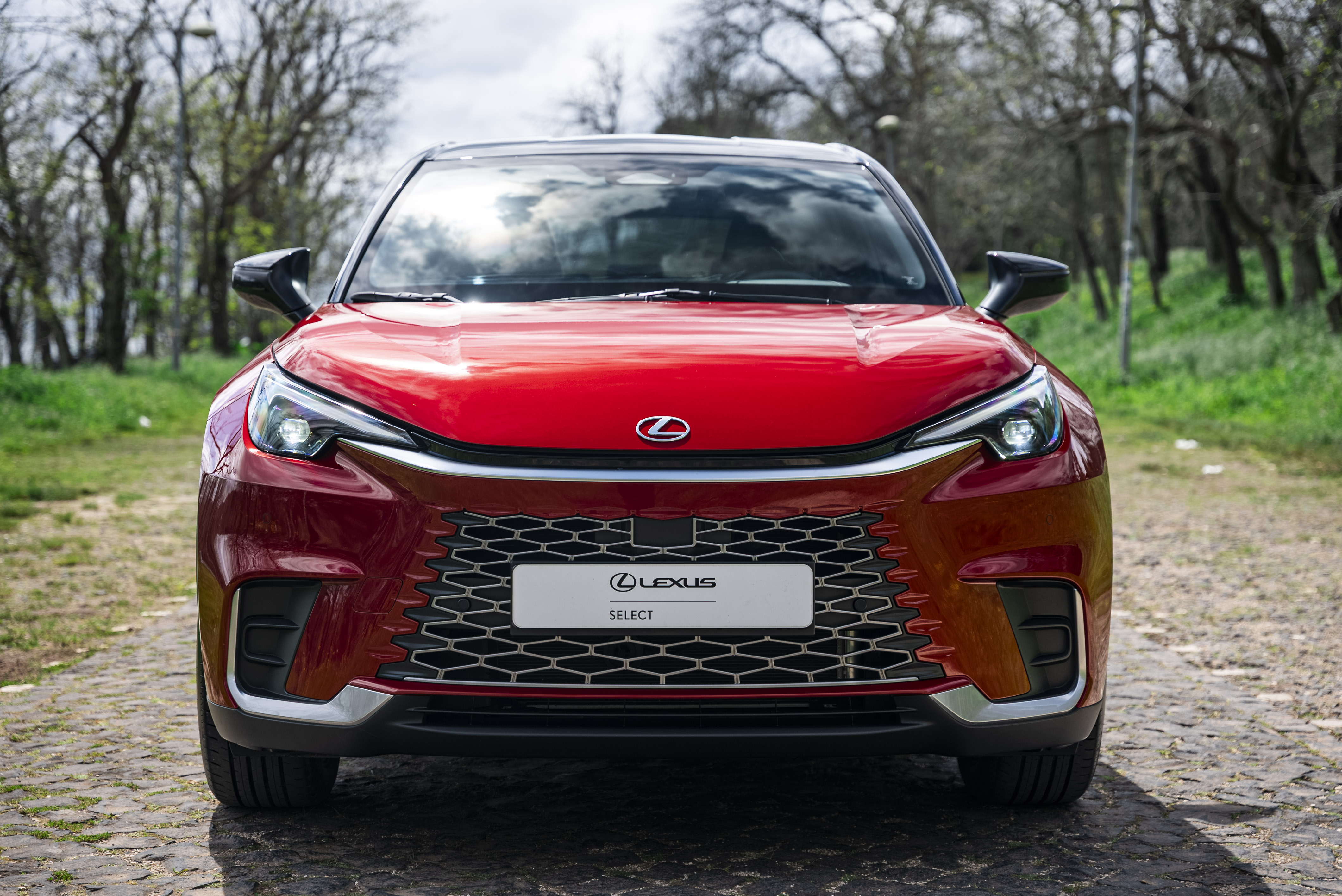 LEXUS LBX 23-24 LBX Emotion