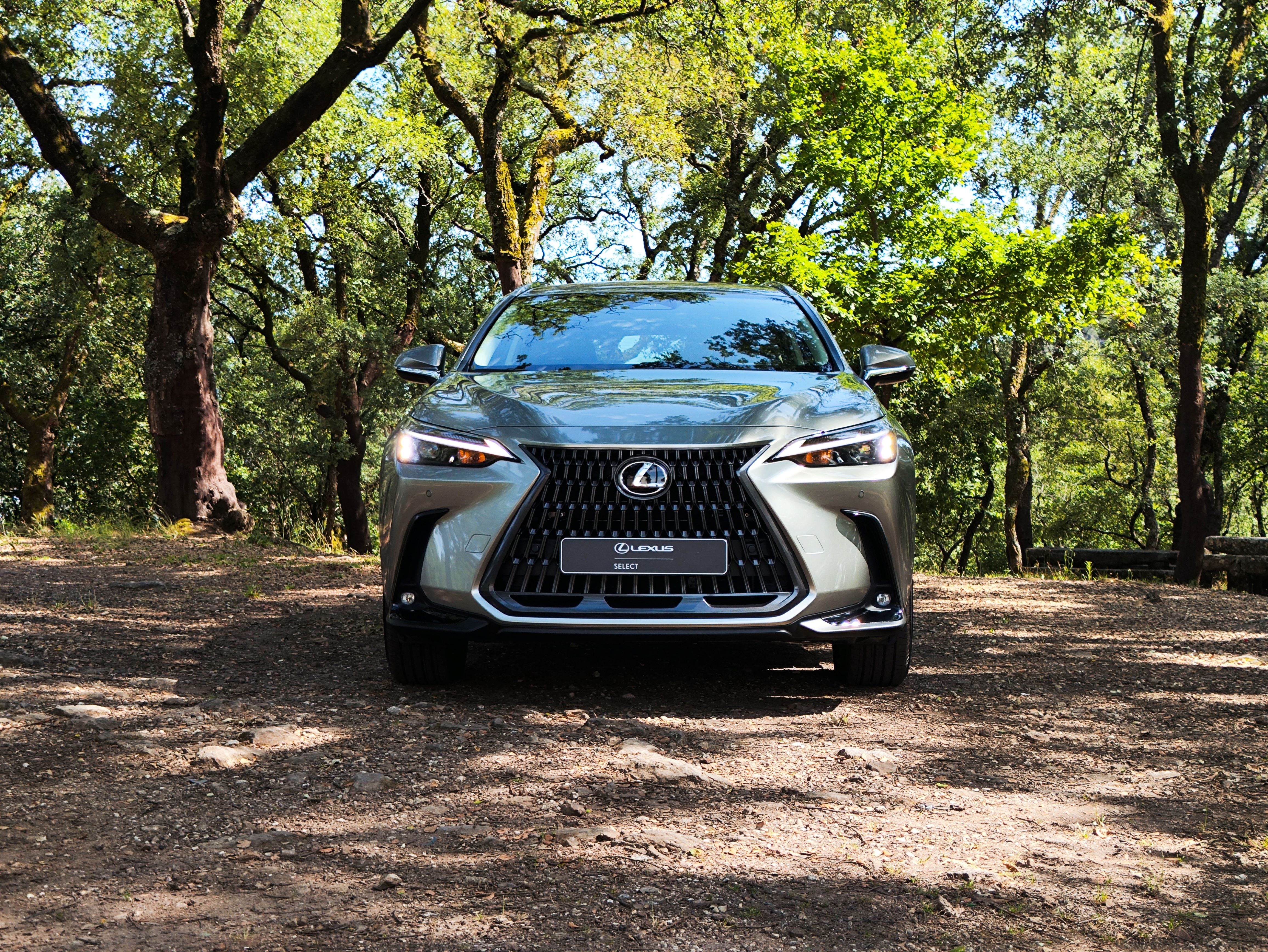 LEXUS NX450H+ NX 450h+ Executive