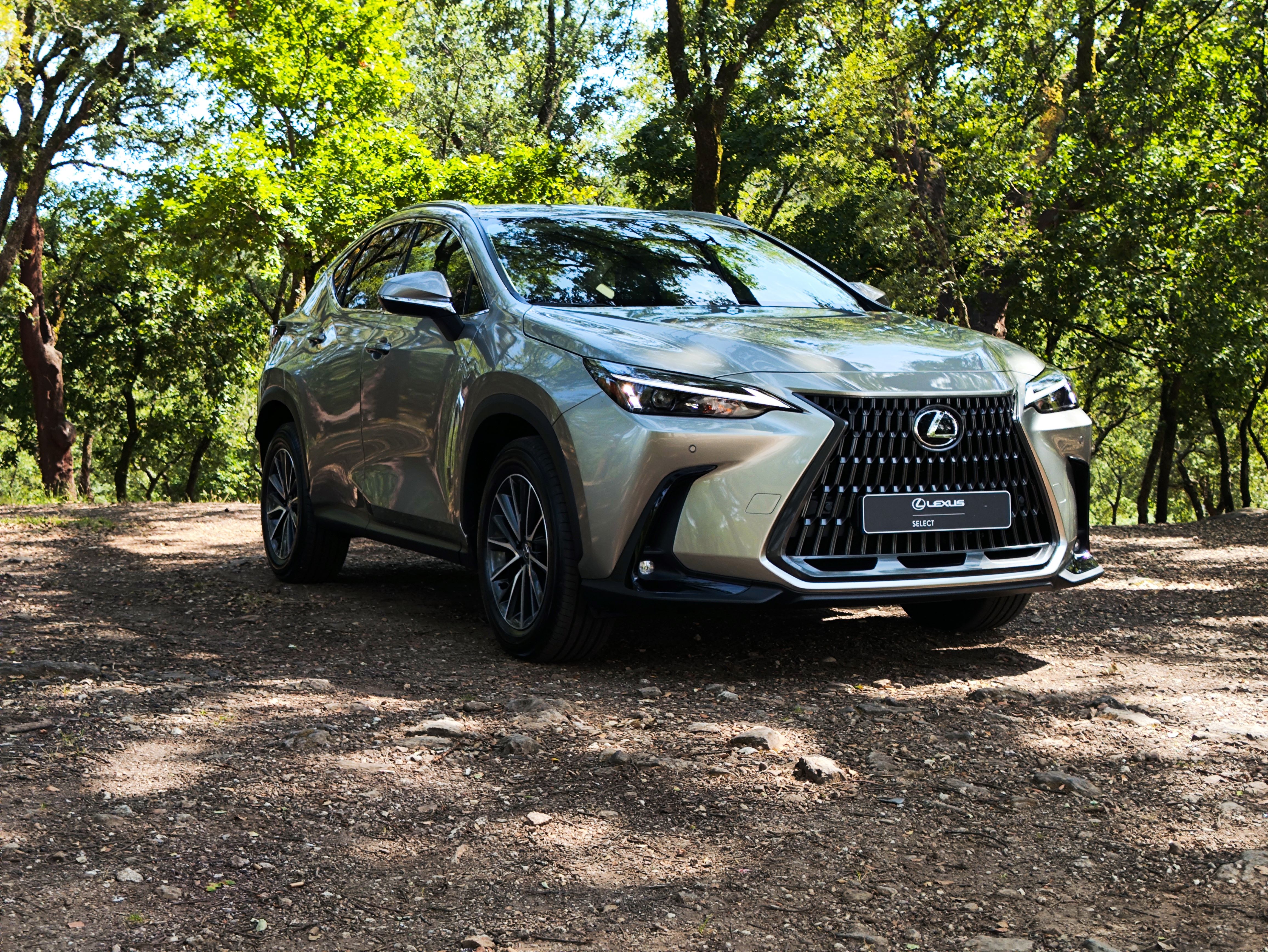 LEXUS NX450H+ NX 450h+ Executive