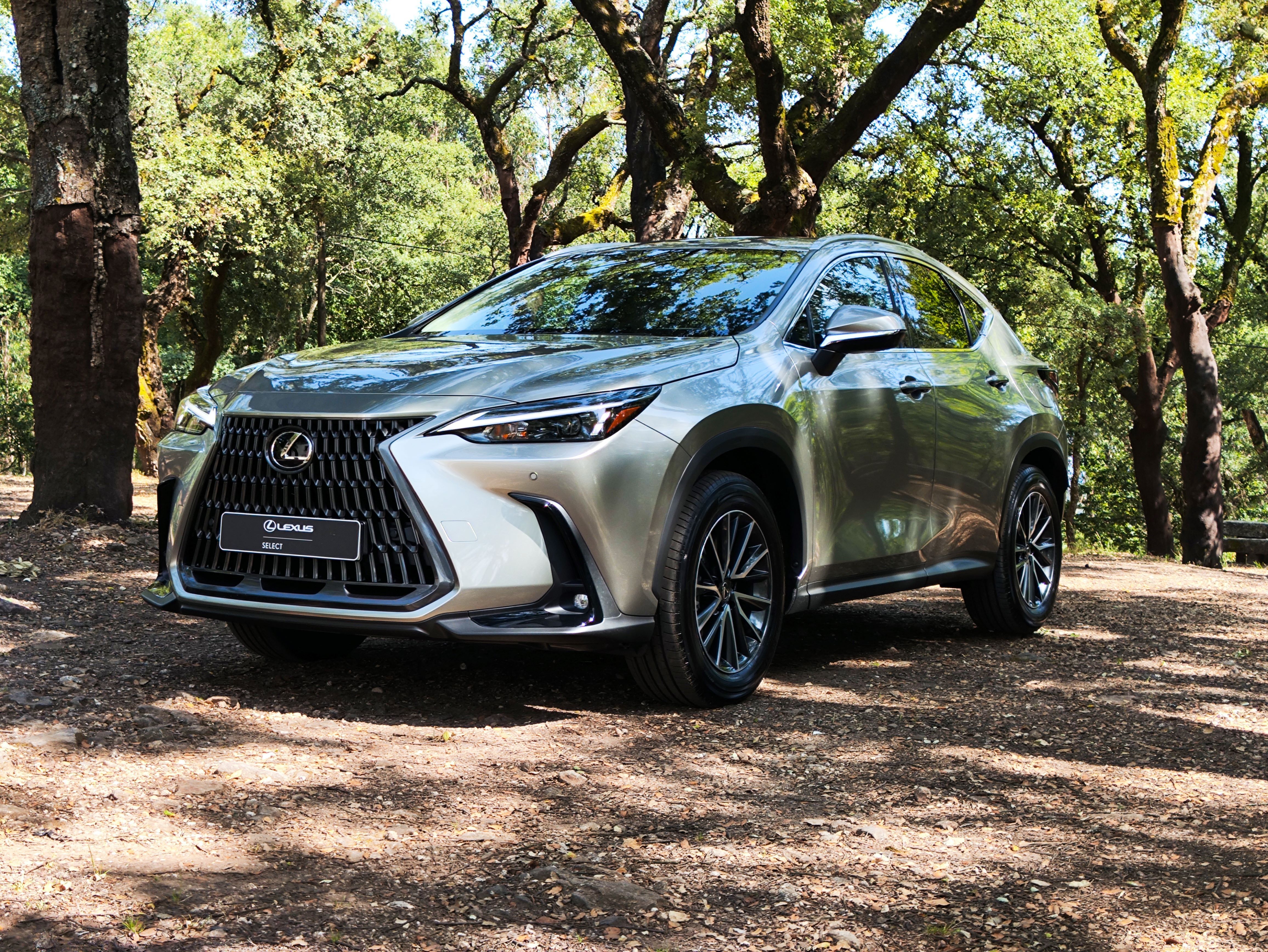LEXUS NX450H+ NX 450h+ Executive