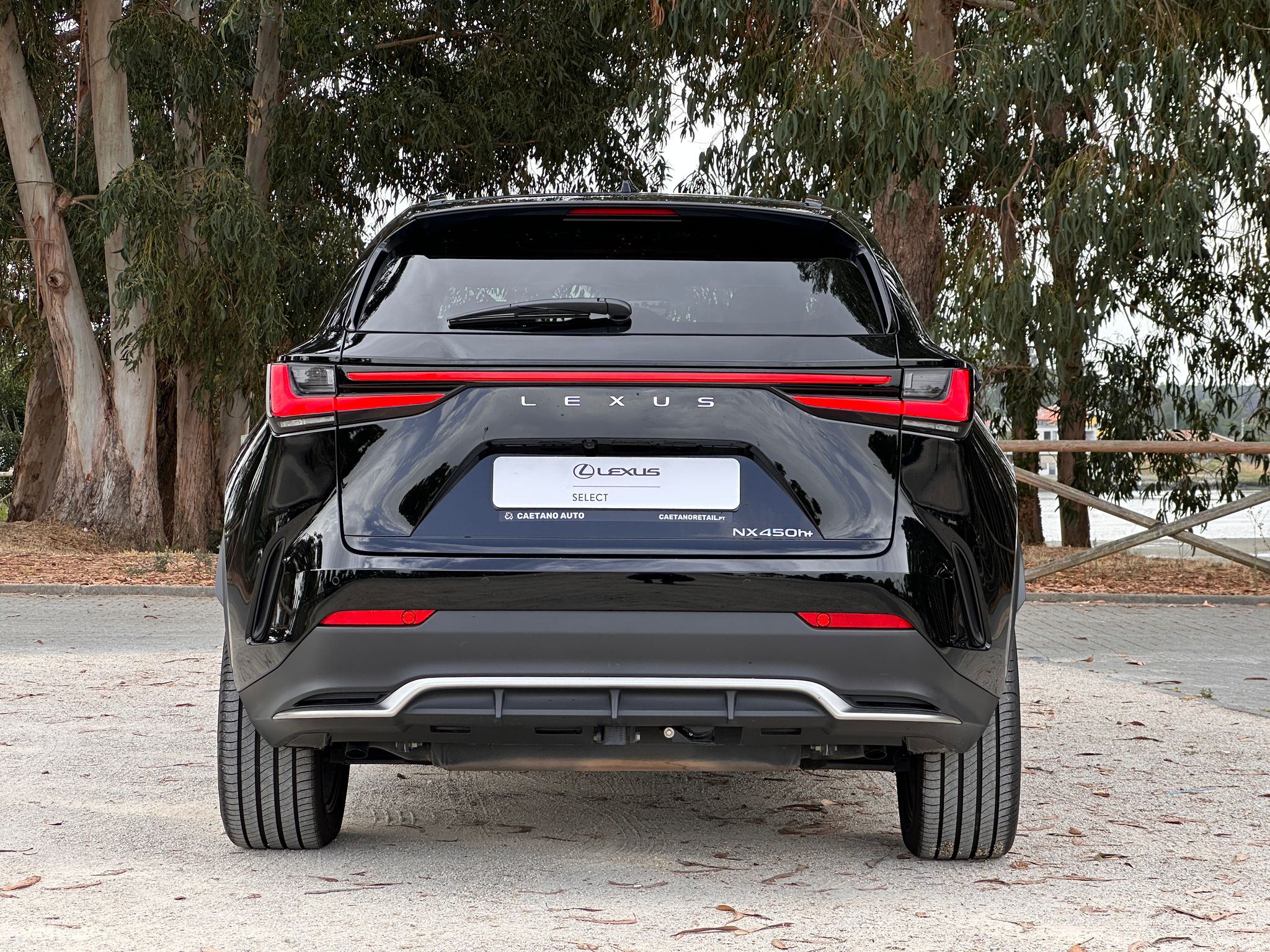 LEXUS NX 21-24 NX 450h+ F Sport