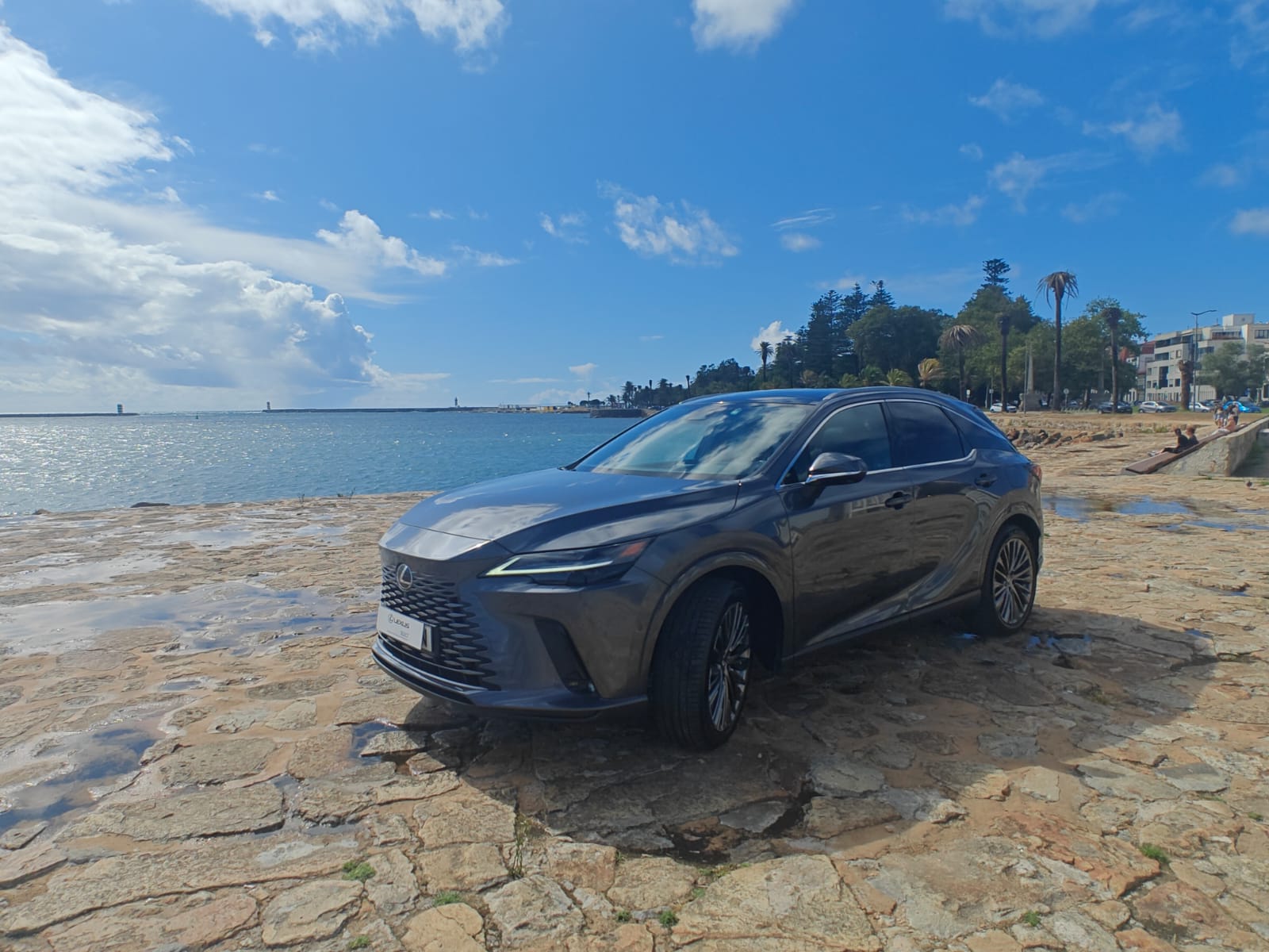 LEXUS RX 450H+ RX 450h+ Luxury
