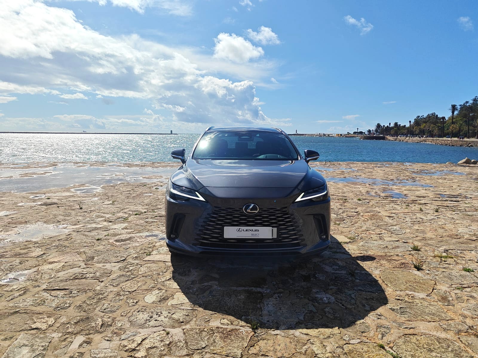 LEXUS RX 450H+ RX 450h+ Luxury