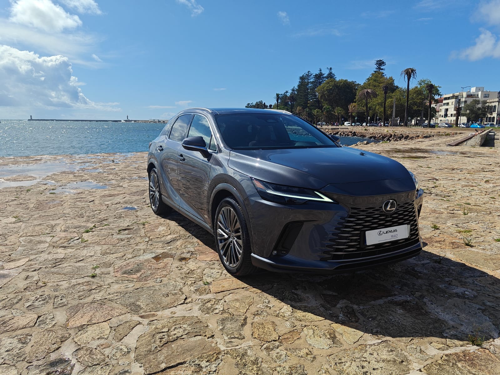 LEXUS RX 450H+ RX 450h+ Luxury