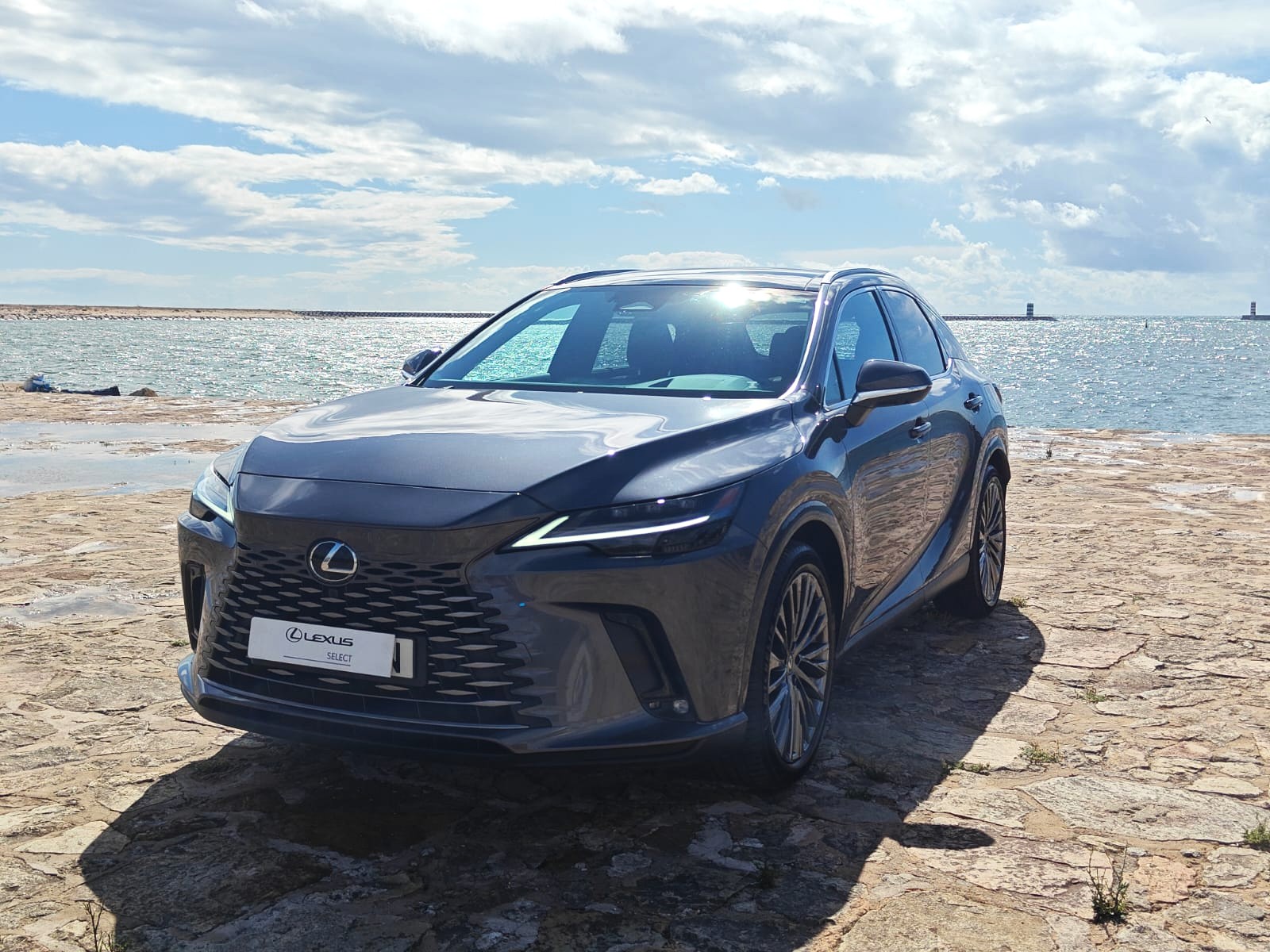 LEXUS RX 450H+ RX 450h+ Luxury
