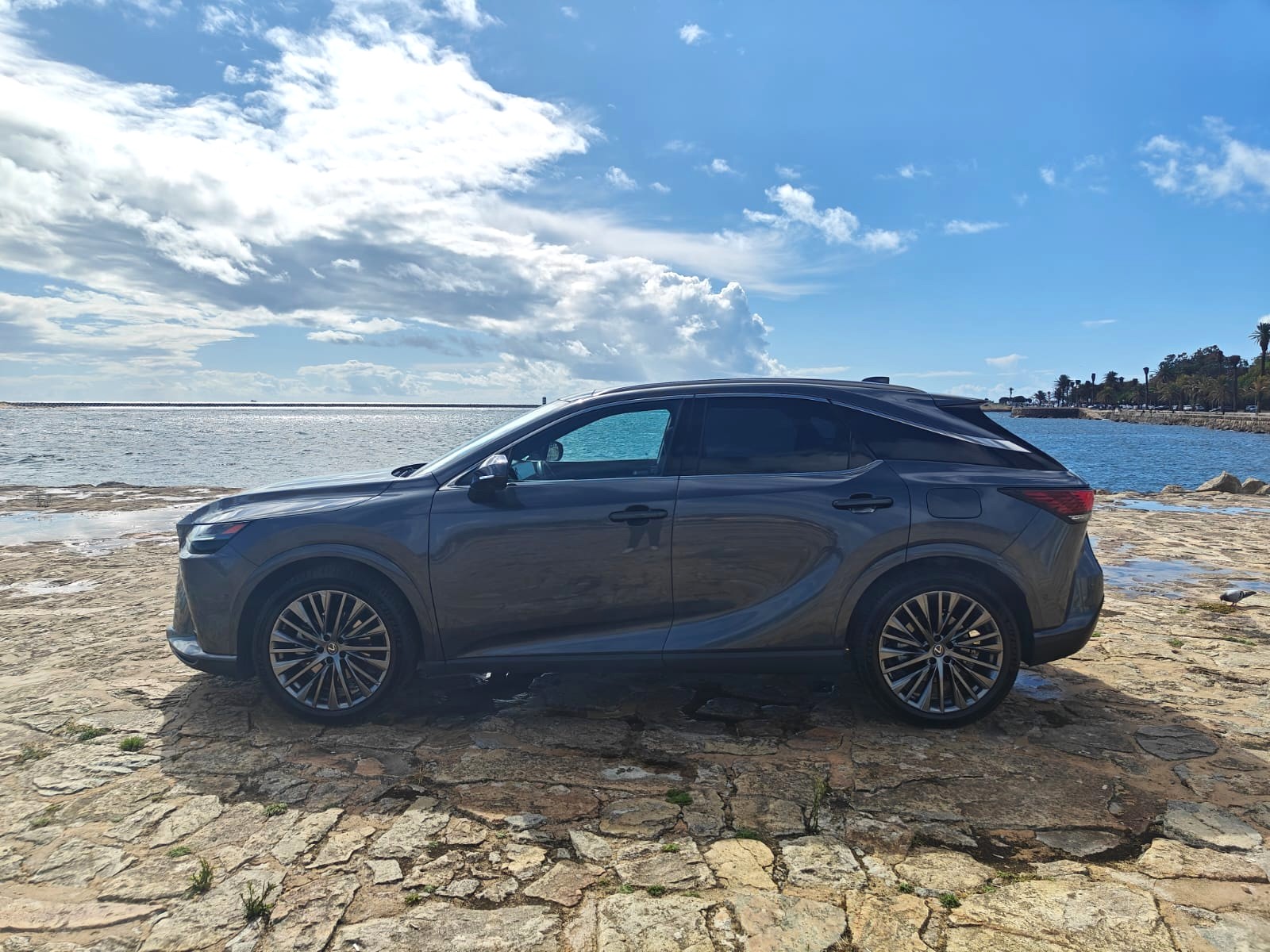 LEXUS RX 450H+ RX 450h+ Luxury