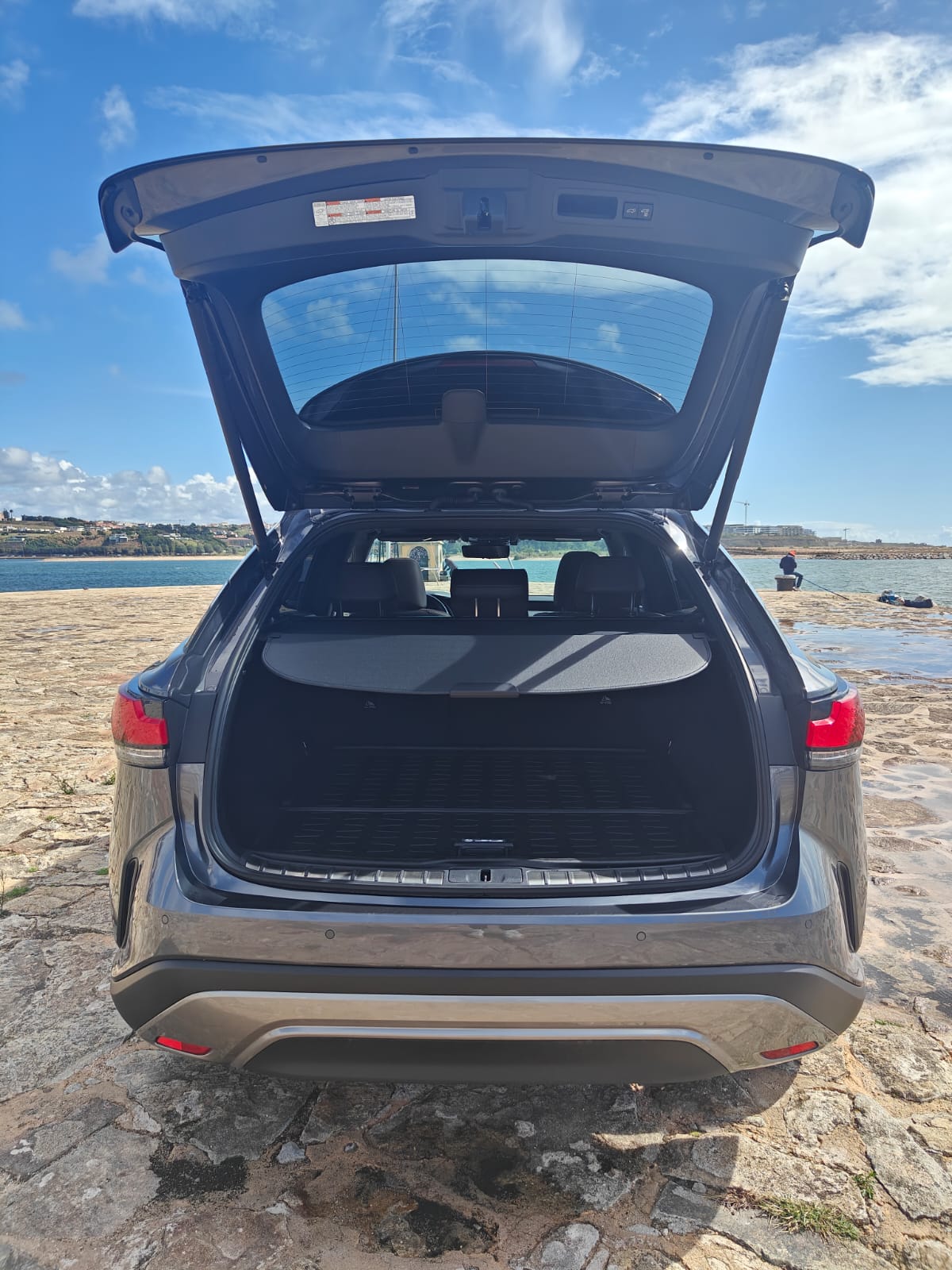 LEXUS RX 450H+ RX 450h+ Luxury
