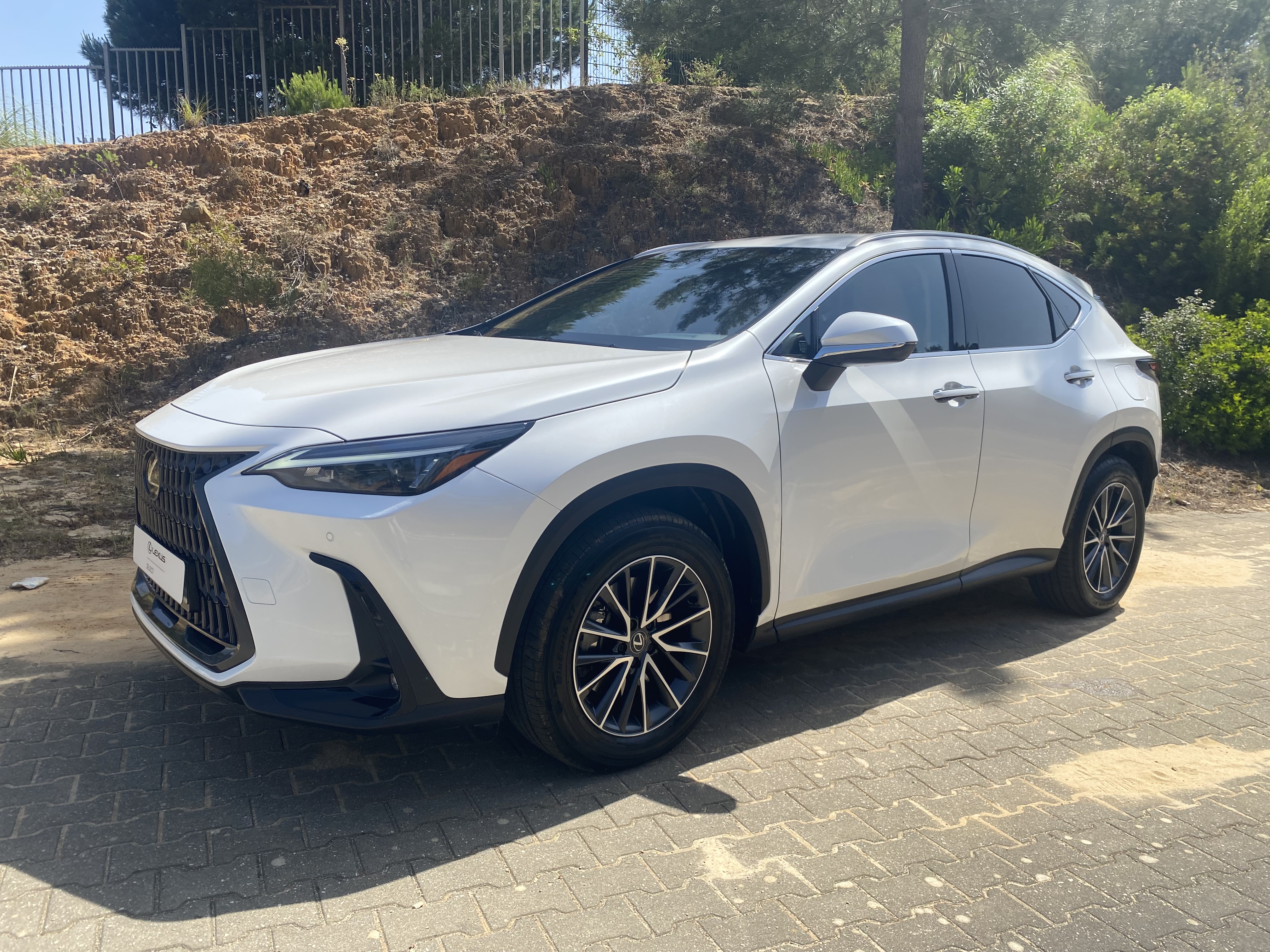 LEXUS NX450H+ NX 450h+ Executive