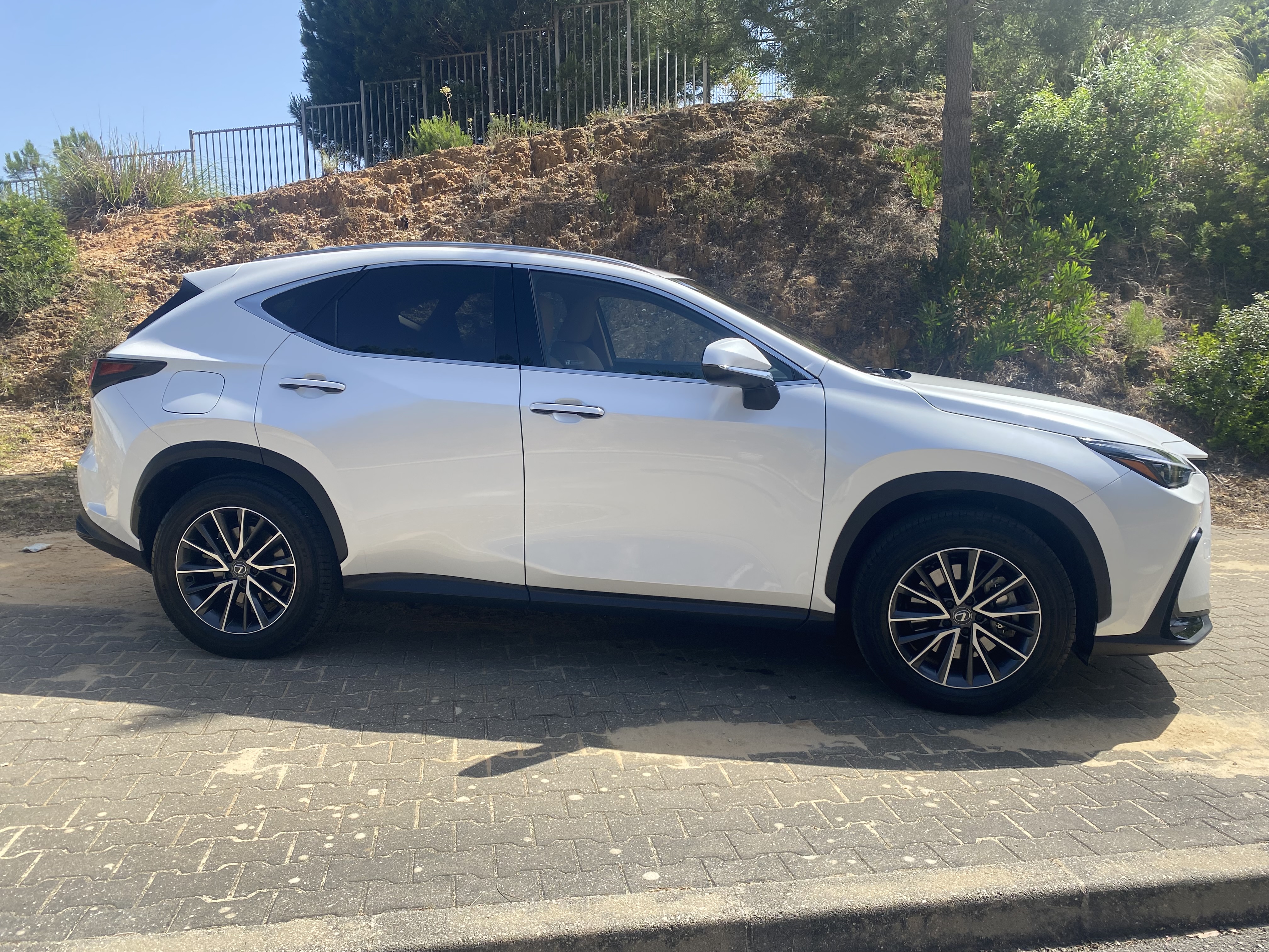 LEXUS NX450H+ NX 450h+ Executive