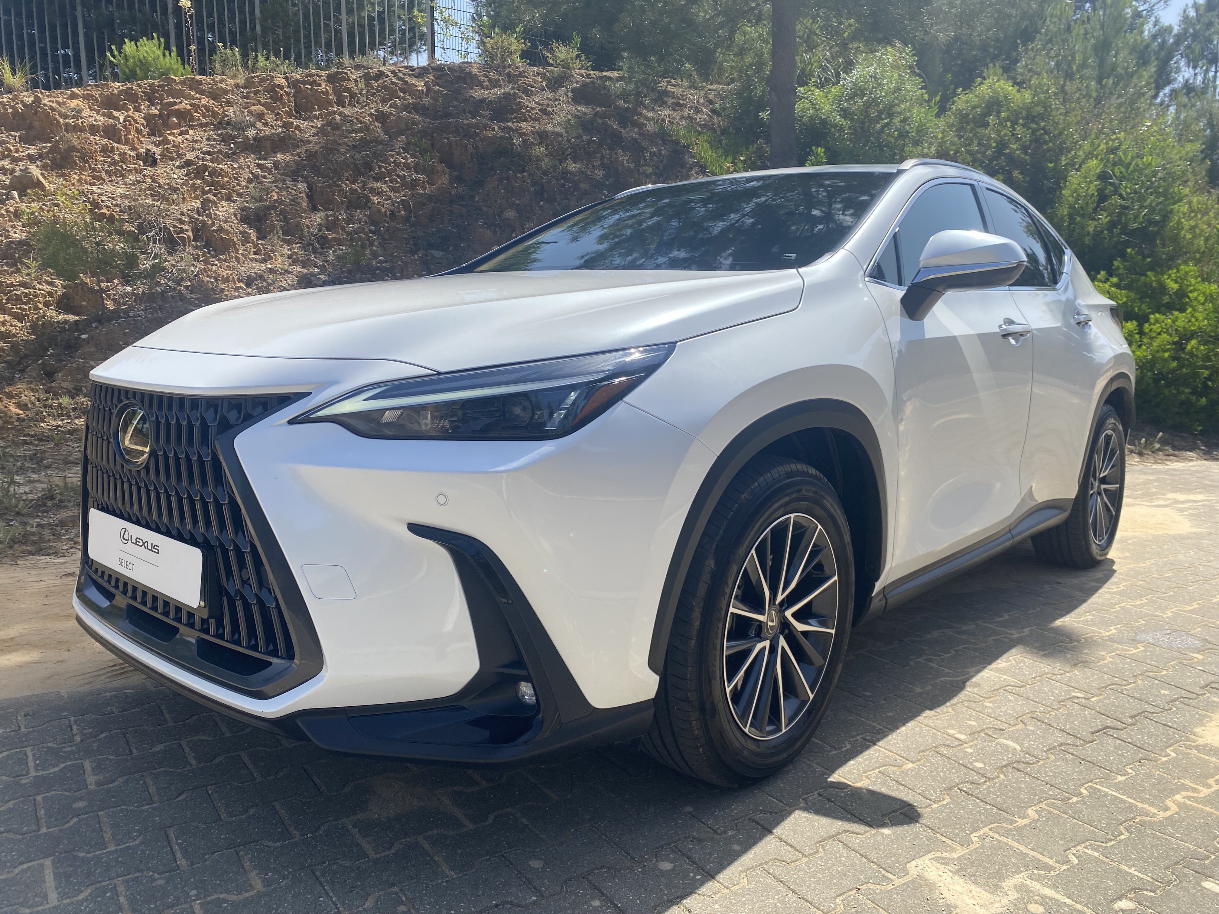 LEXUS NX450H+ NX 450h+ Executive