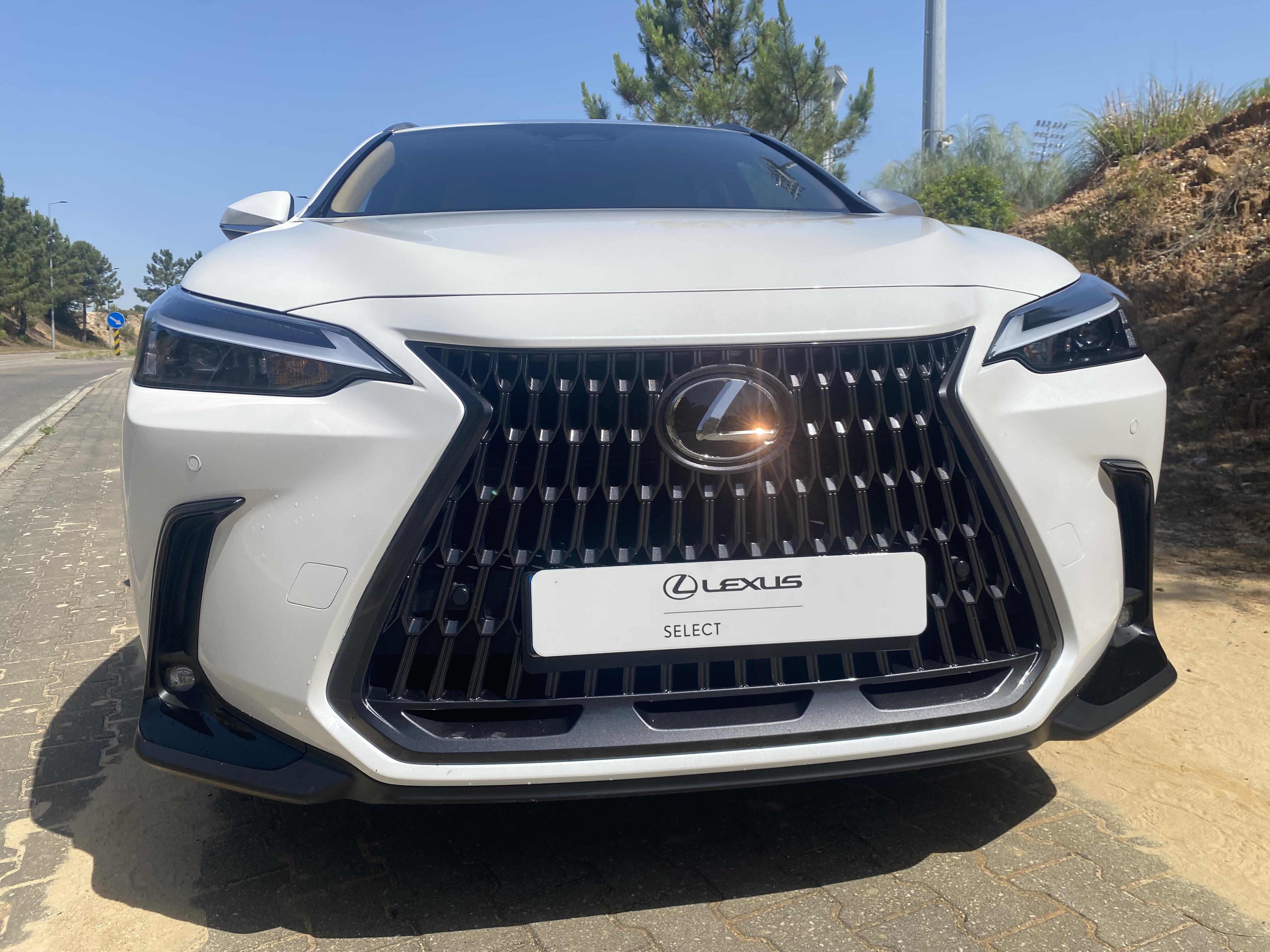 LEXUS NX450H+ NX 450h+ Executive