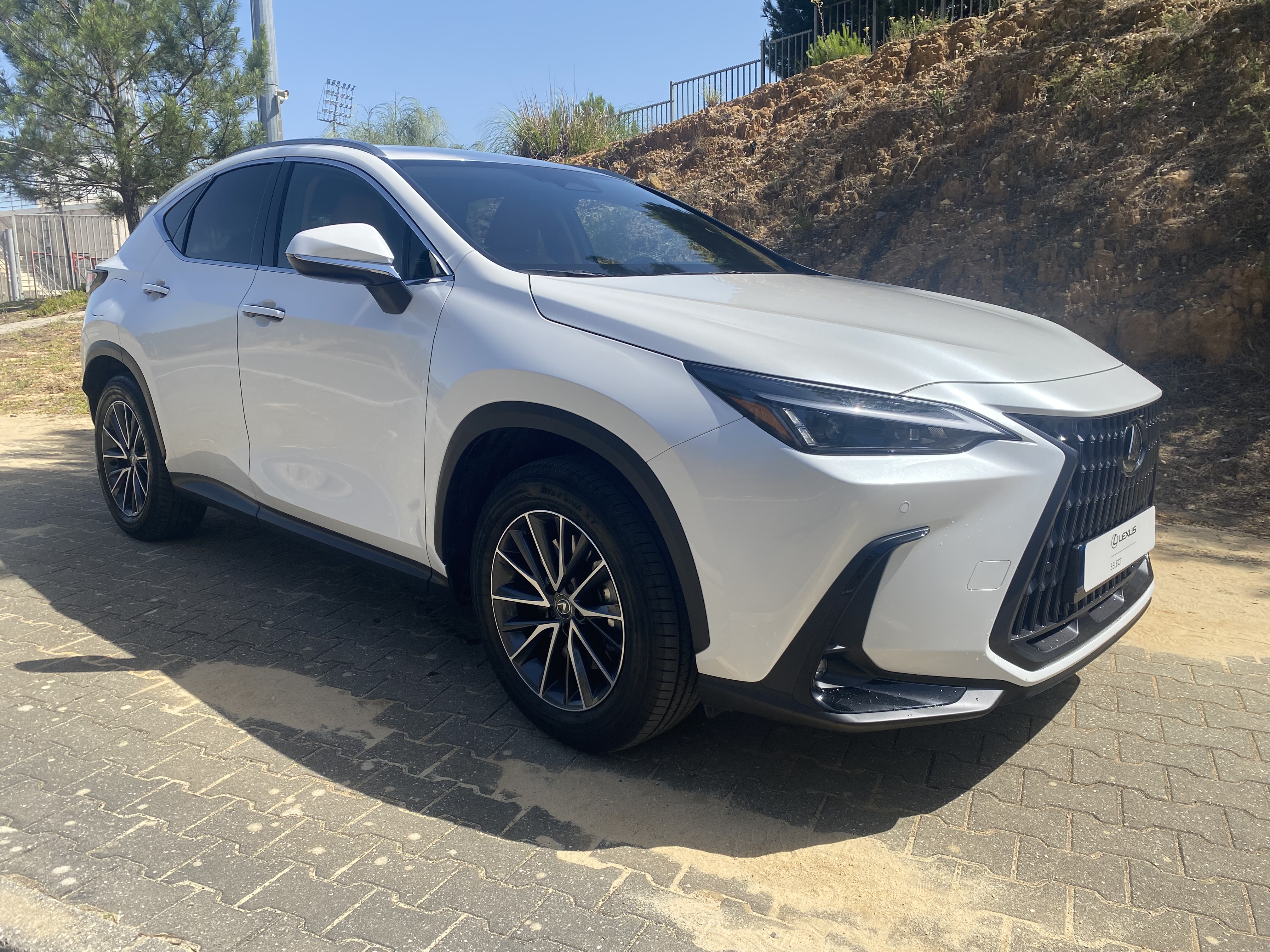 LEXUS NX450H+ NX 450h+ Executive
