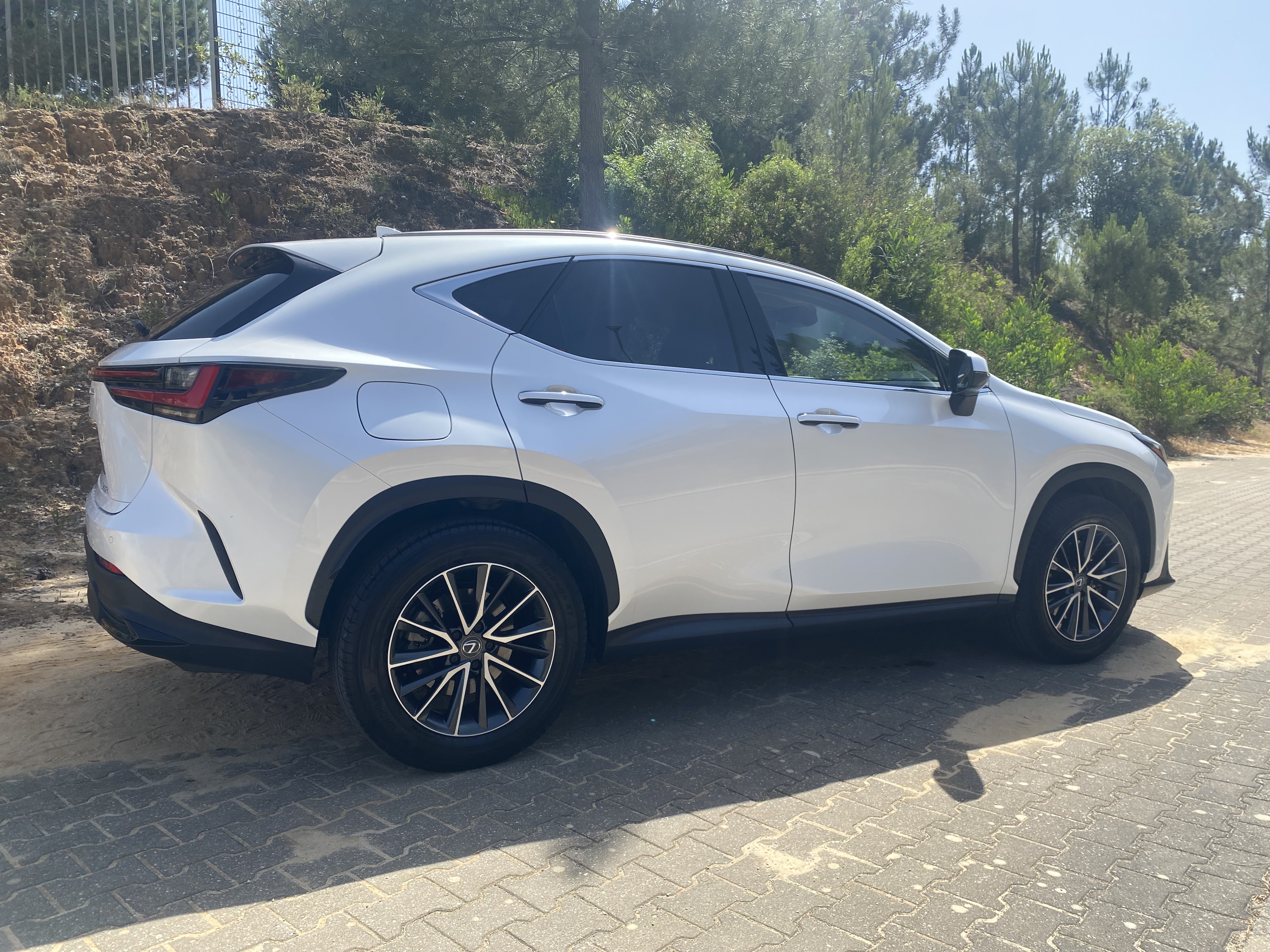 LEXUS NX450H+ NX 450h+ Executive