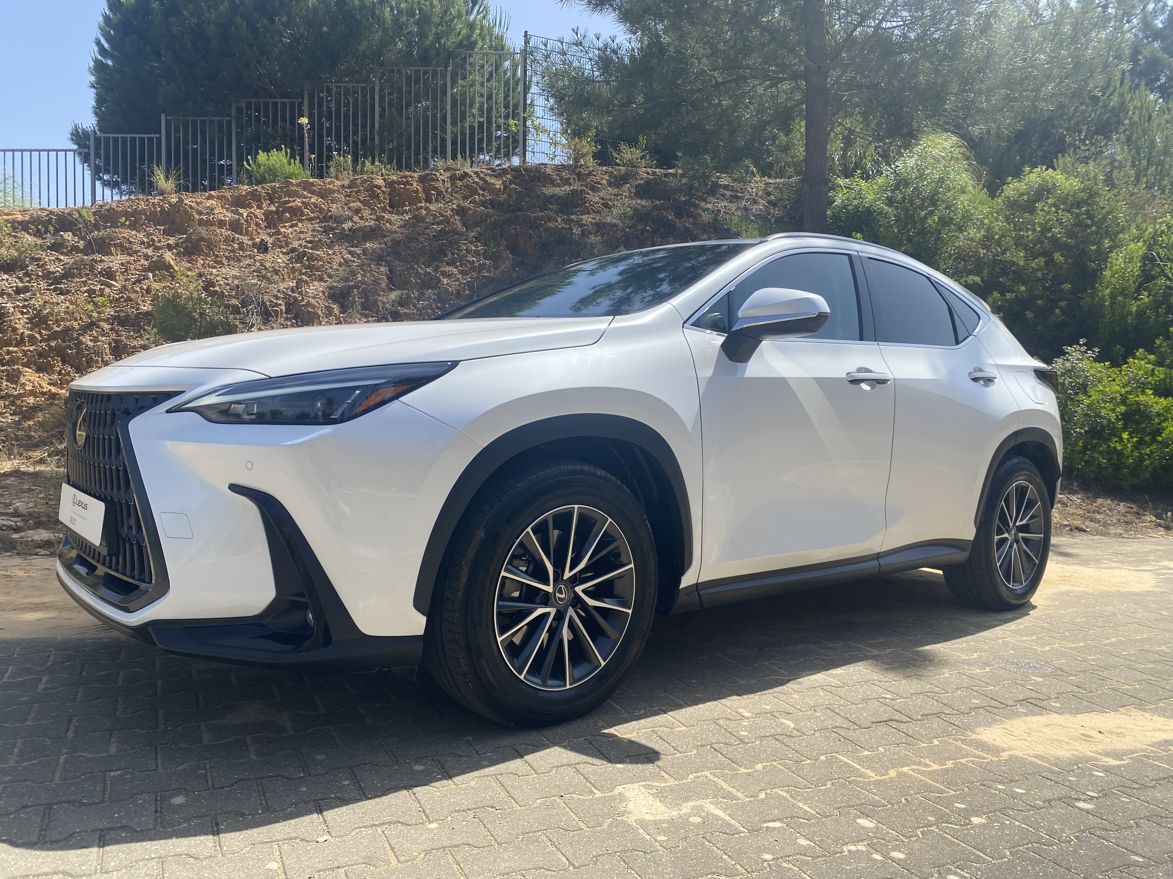 LEXUS NX450H+ NX 450h+ Executive
