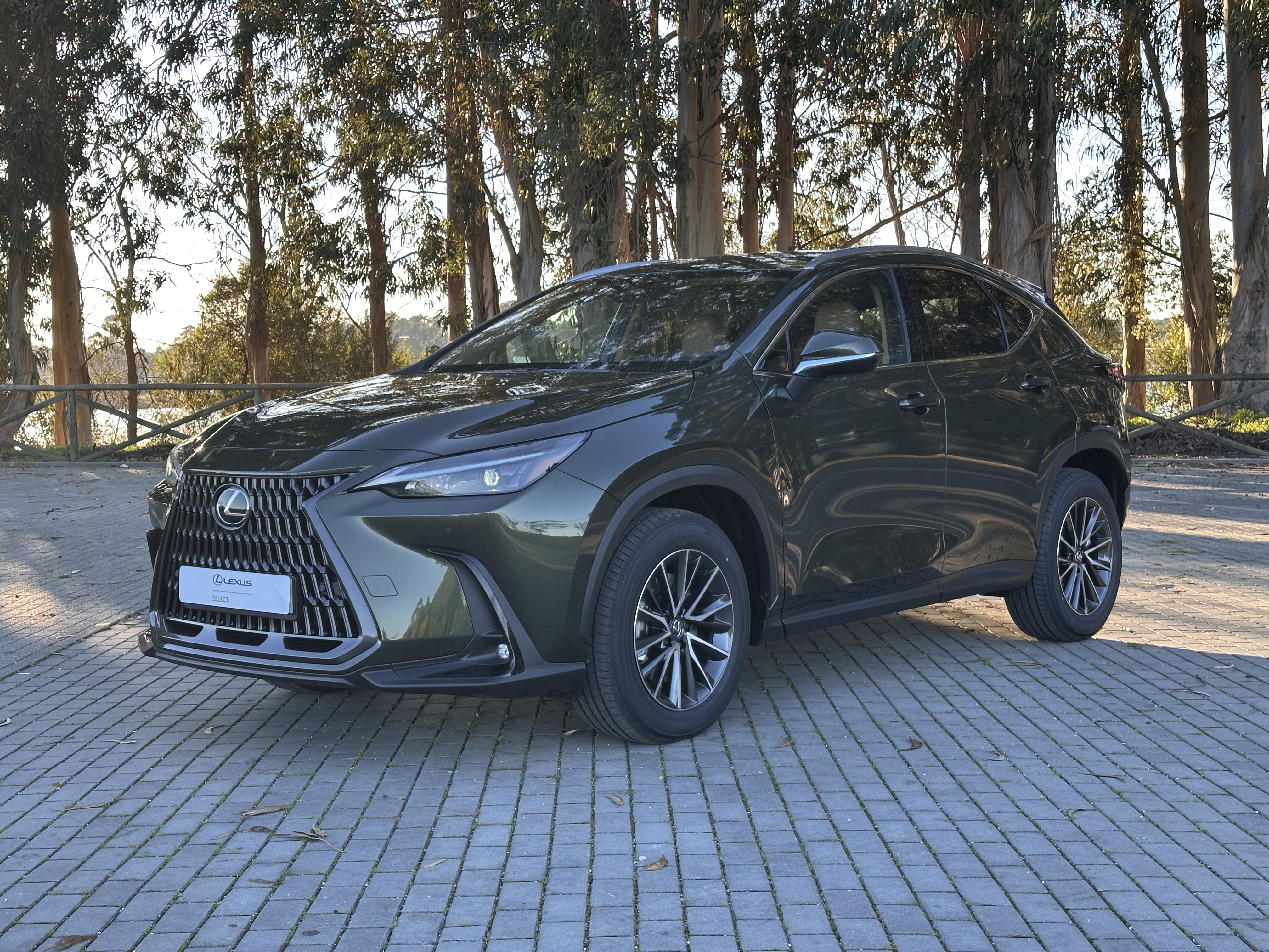 LEXUS NX 21-24 NX 450h+ Executive