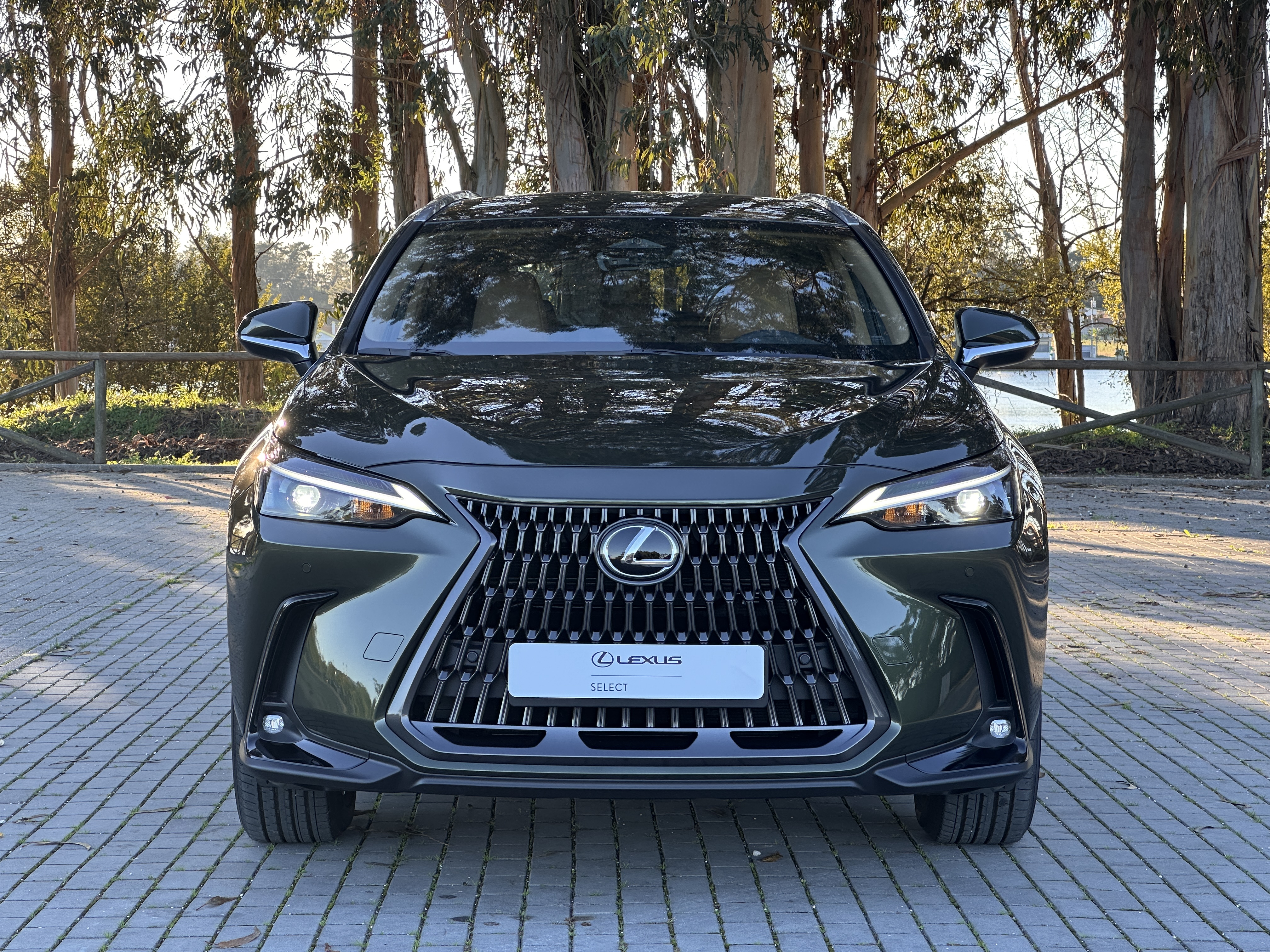 LEXUS NX 21-24 NX 450h+ Executive