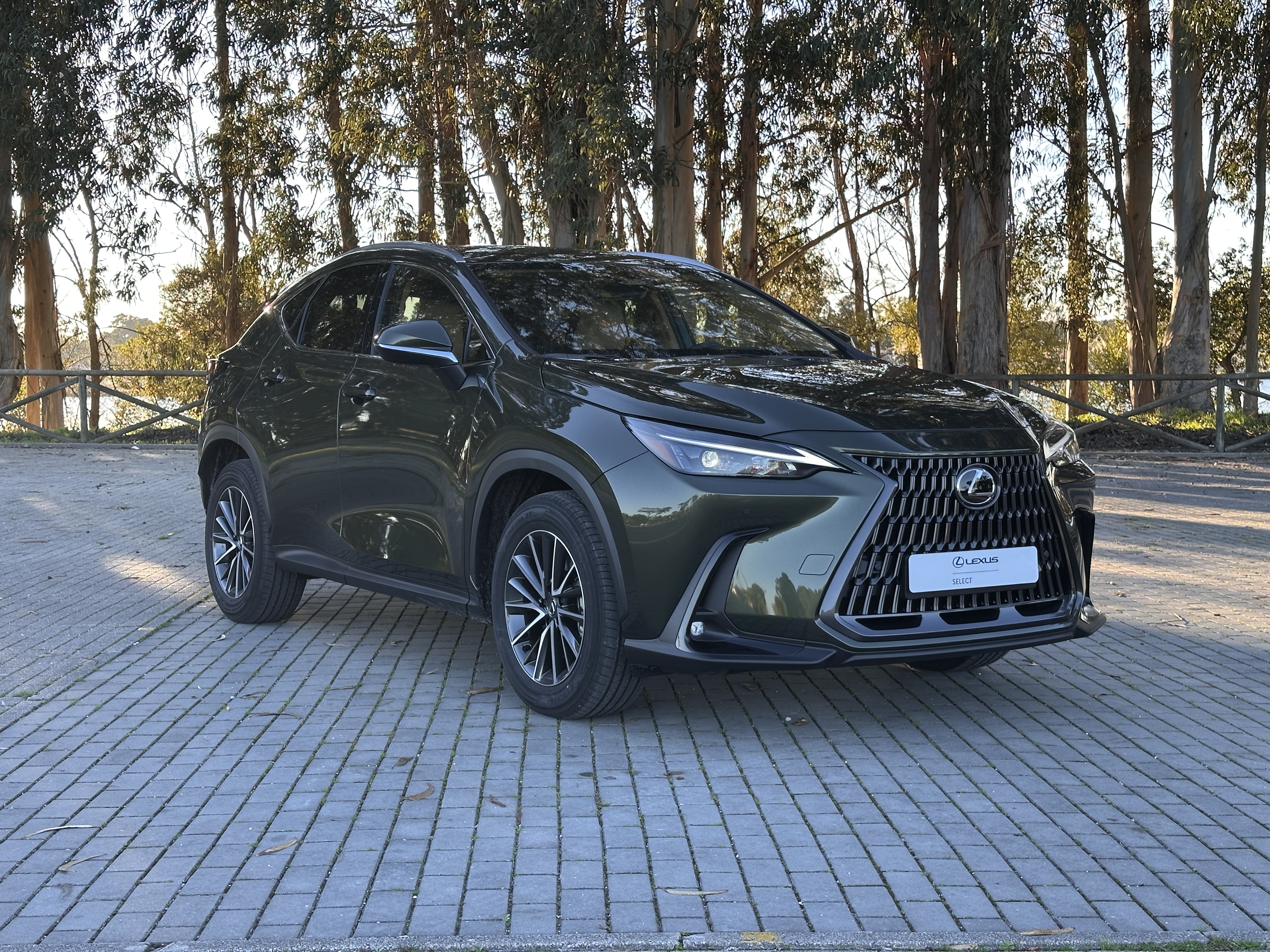 LEXUS NX 21-24 NX 450h+ Executive
