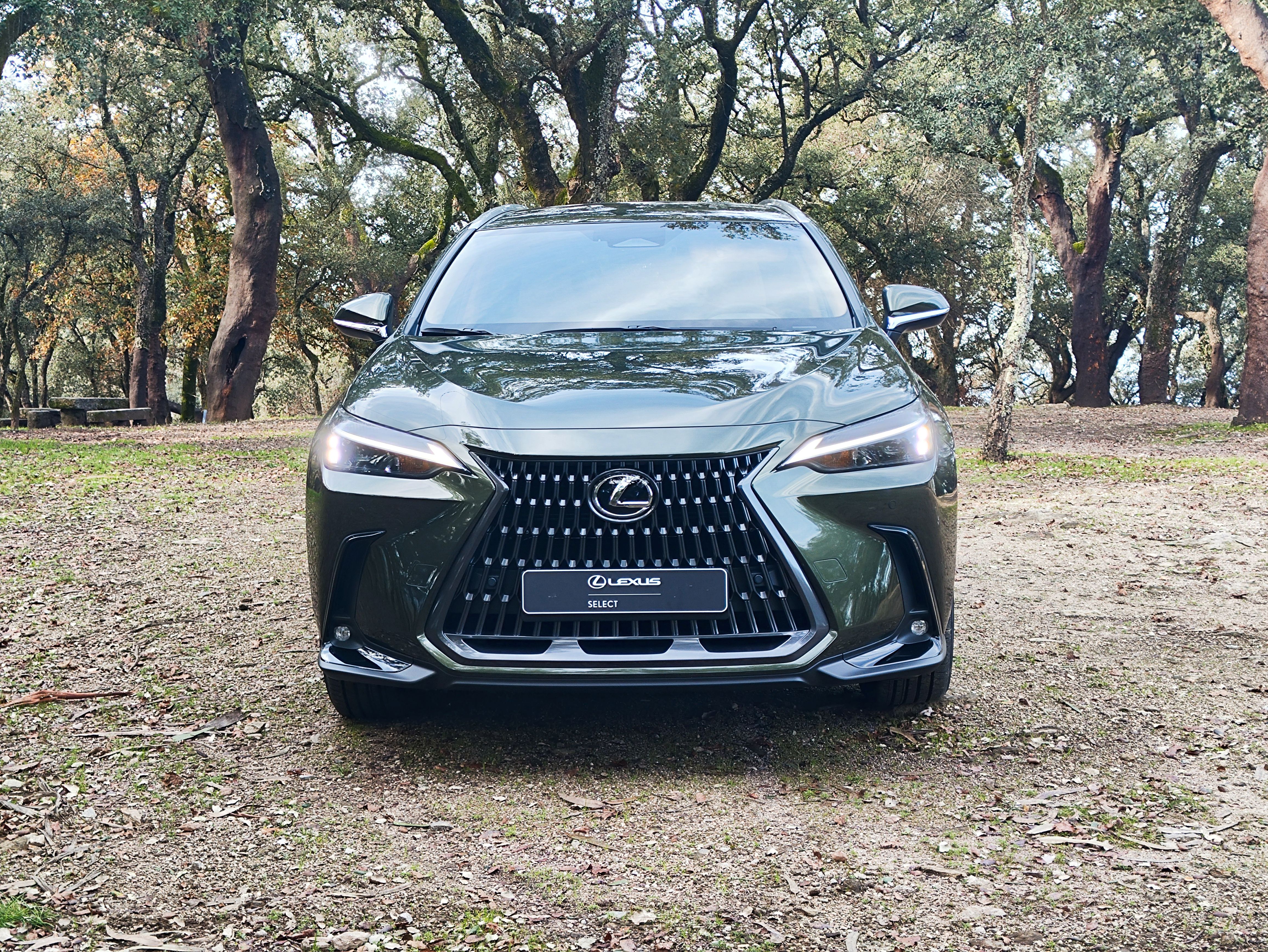 LEXUS NX 21-24 NX 450h+ Executive