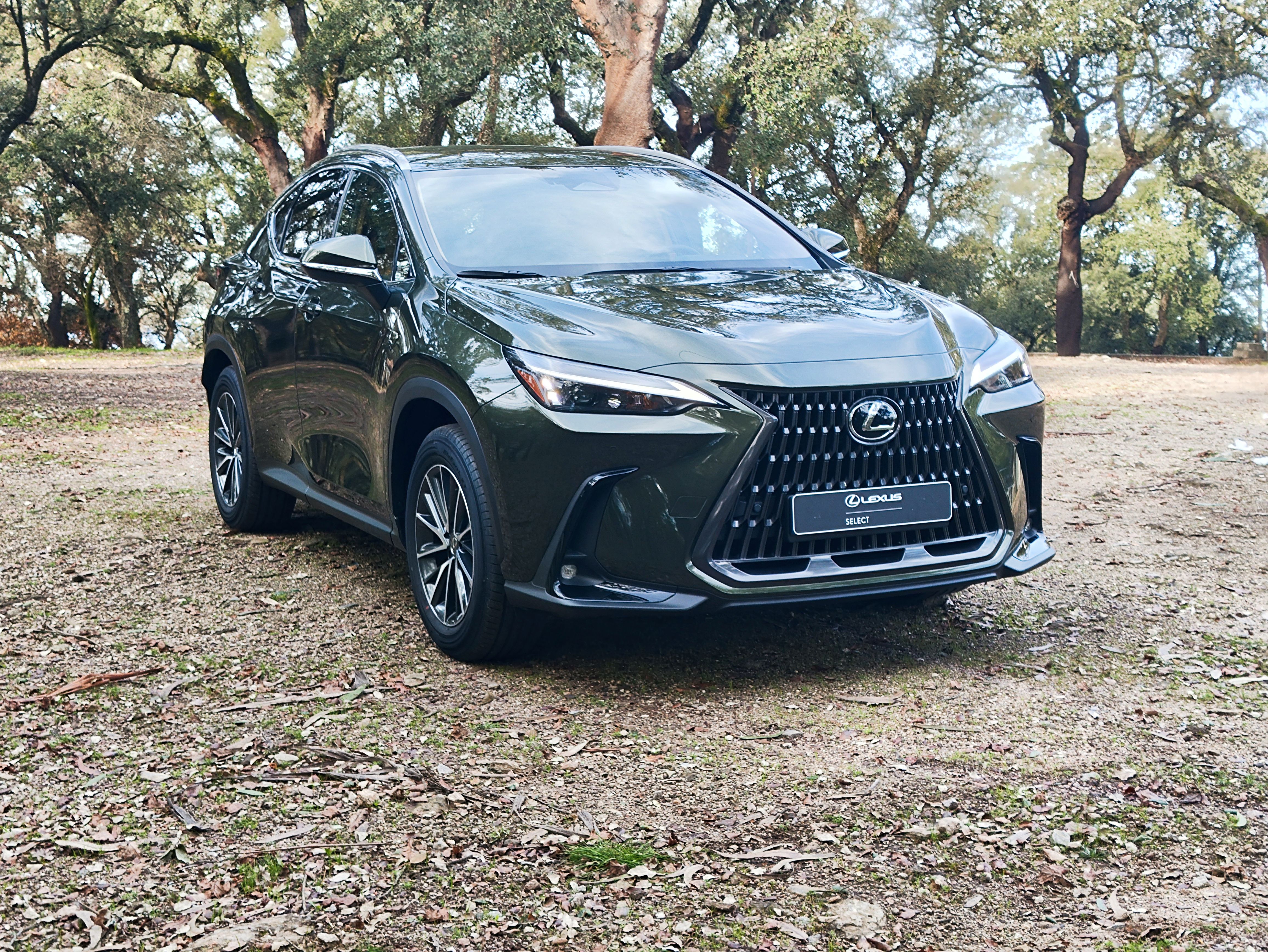 LEXUS NX 21-24 NX 450h+ Executive