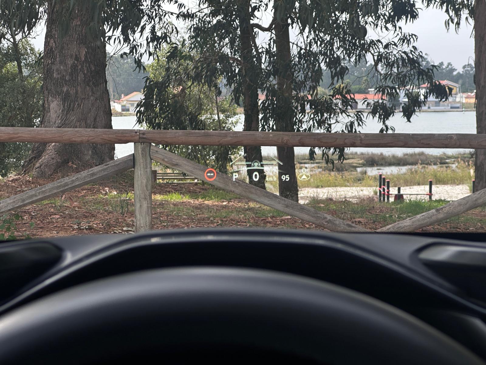 LEXUS RZ 300E RZ 300e Premium