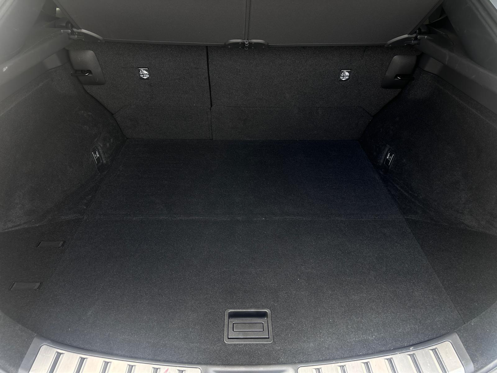 LEXUS RZ 300E RZ 300e Premium