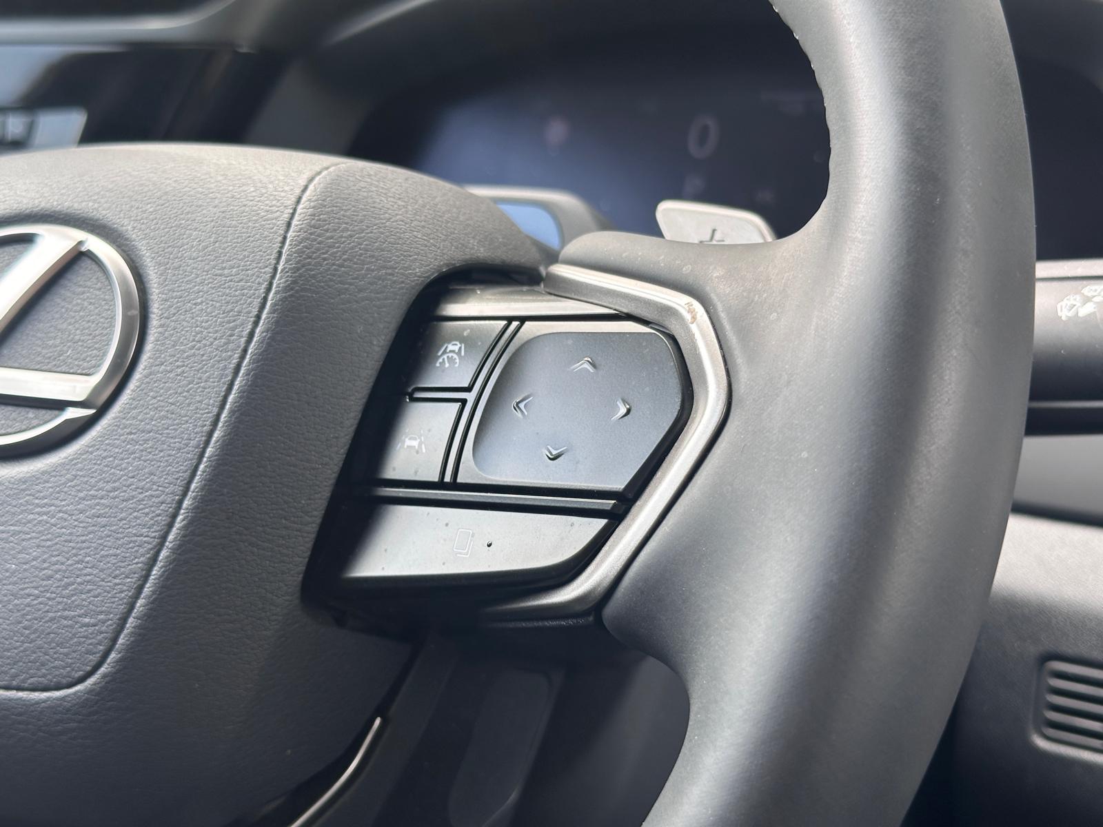 LEXUS RZ 300E RZ 300e Premium