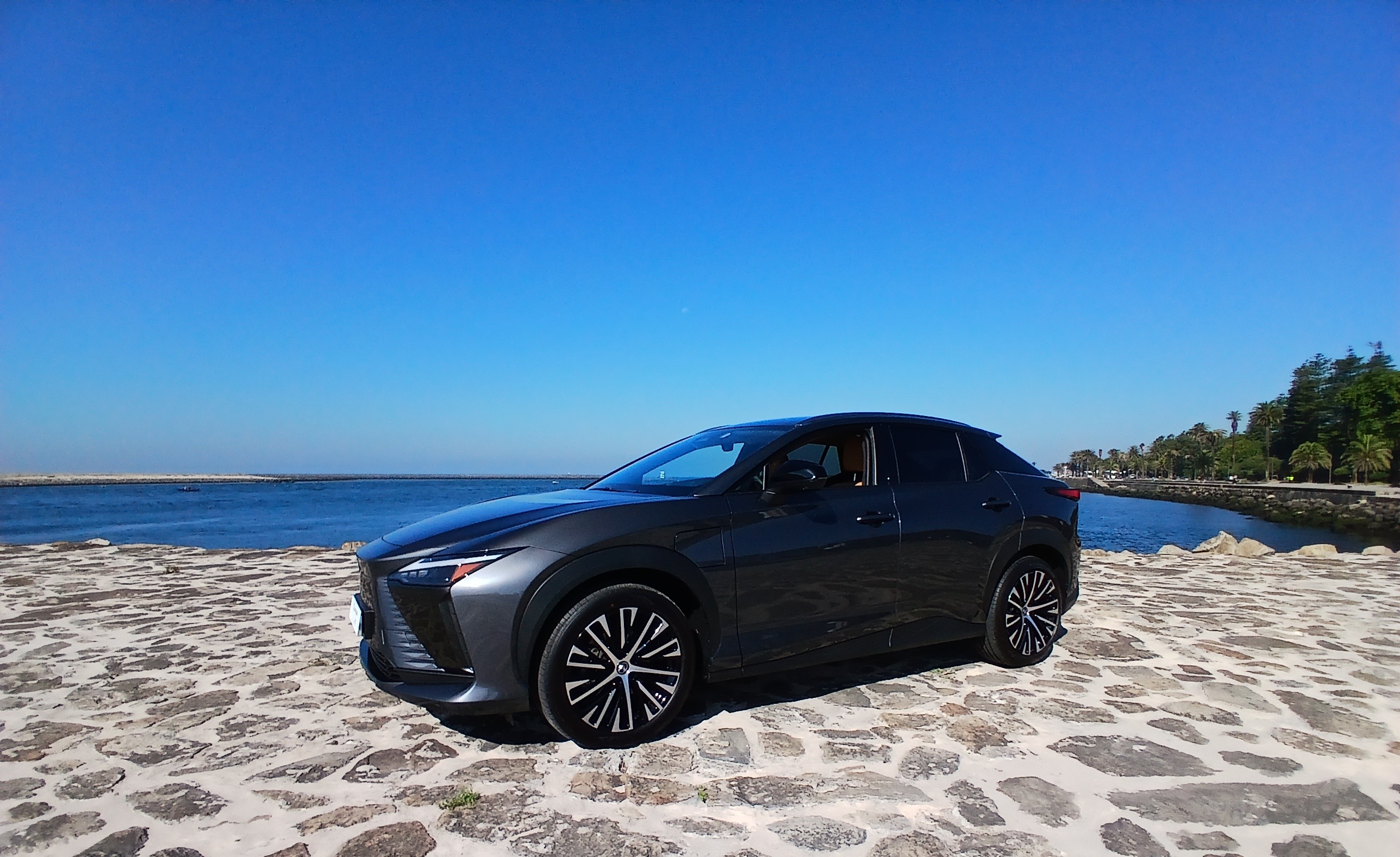 LEXUS RZ 300E RZ 300e Premium